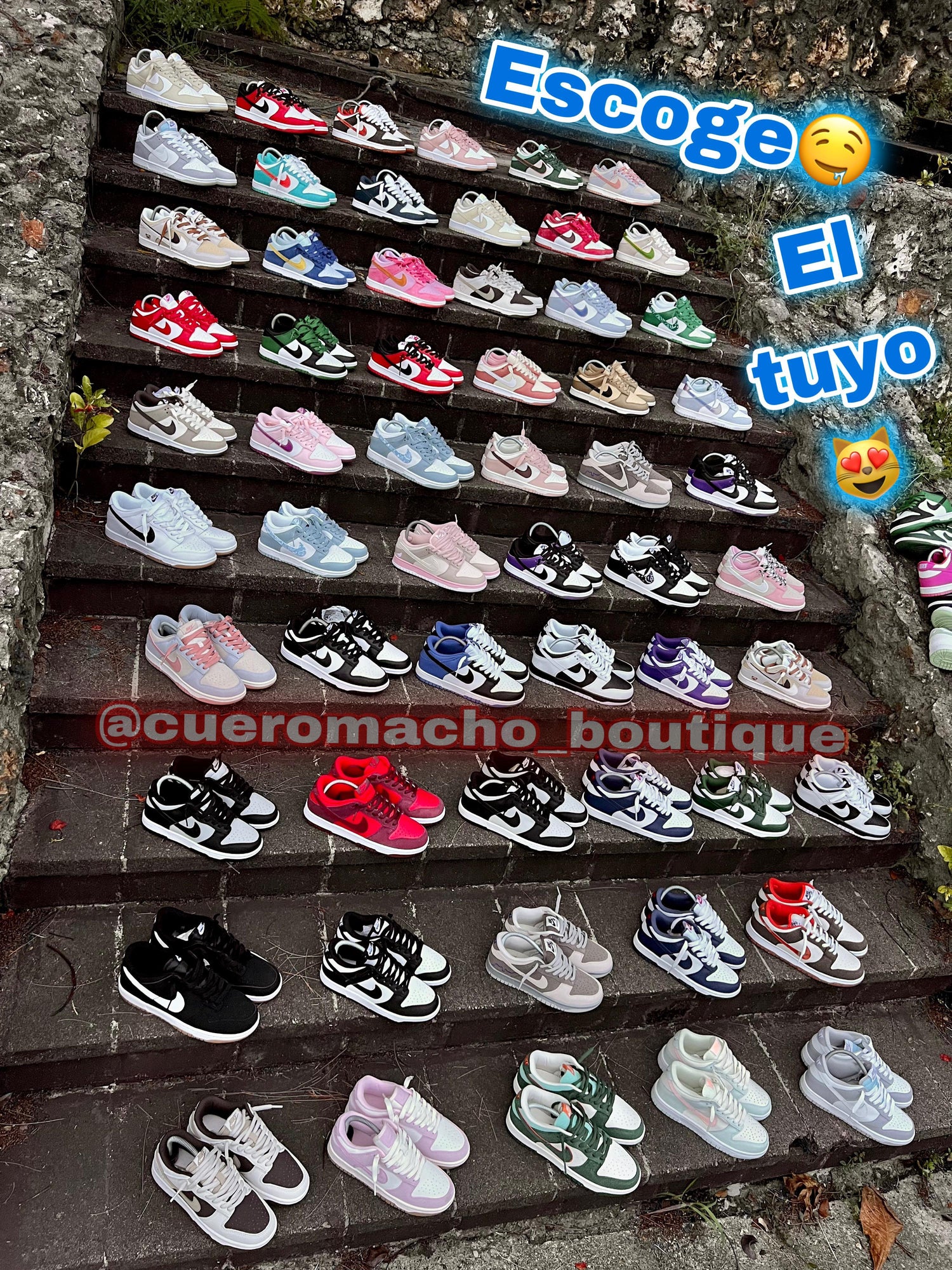 Tenis