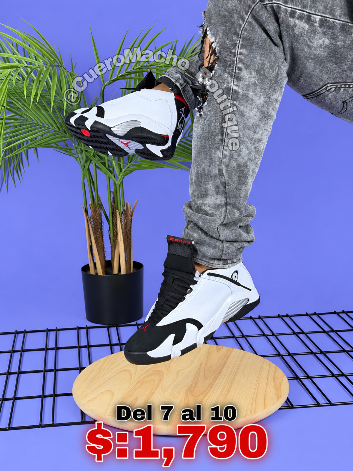 Jordan 14 Retro