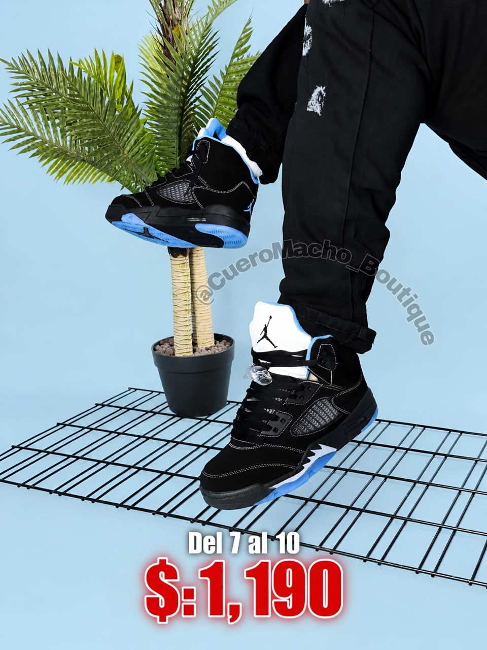 Jordan 5 oferta