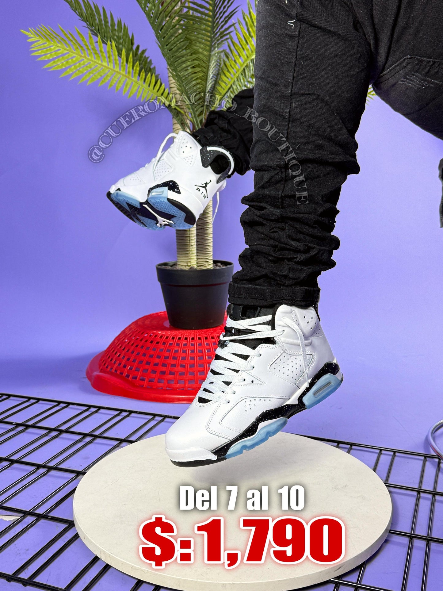 Jordan 6 Retro