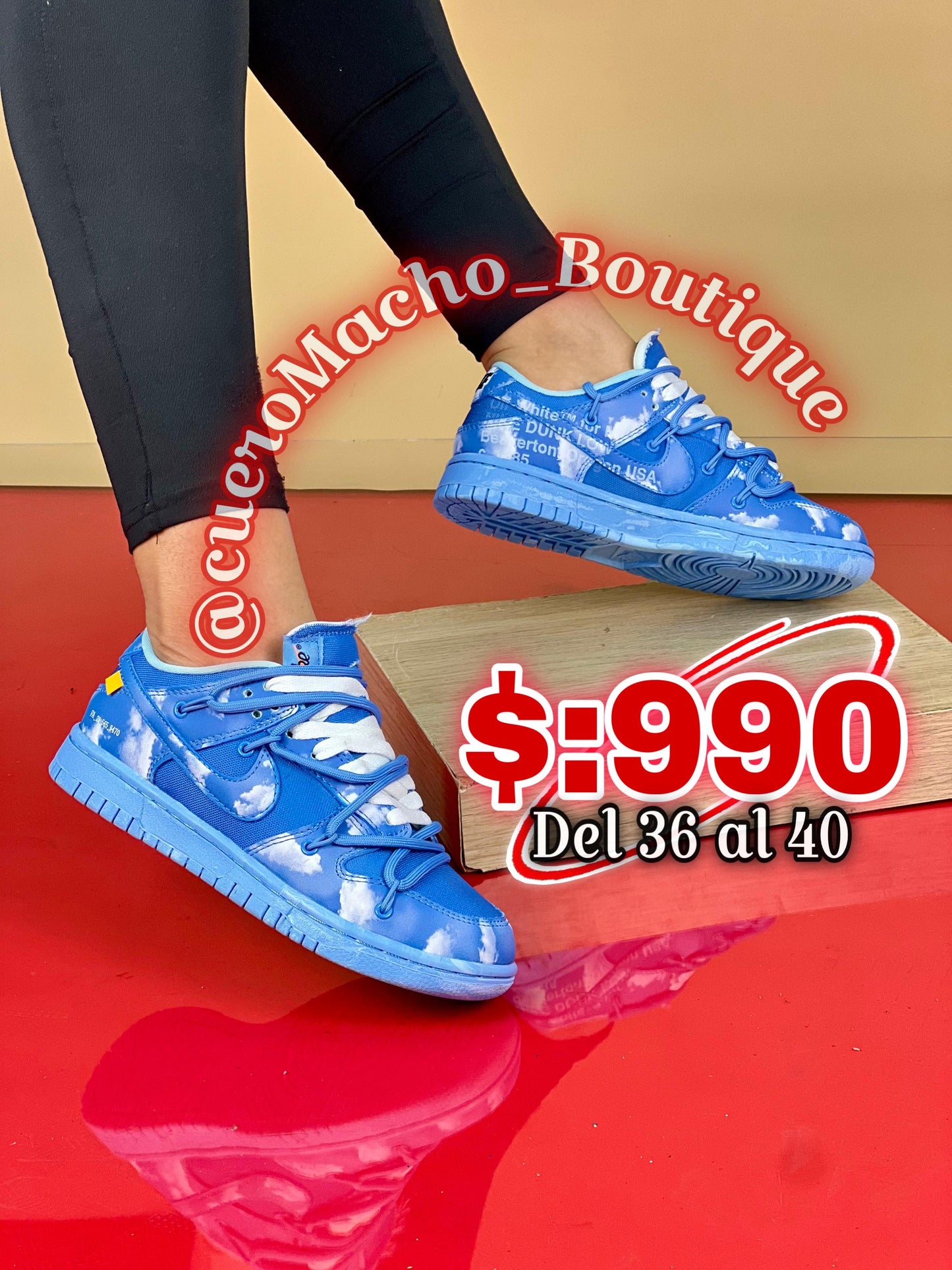 Nike Dunk (Cordones)