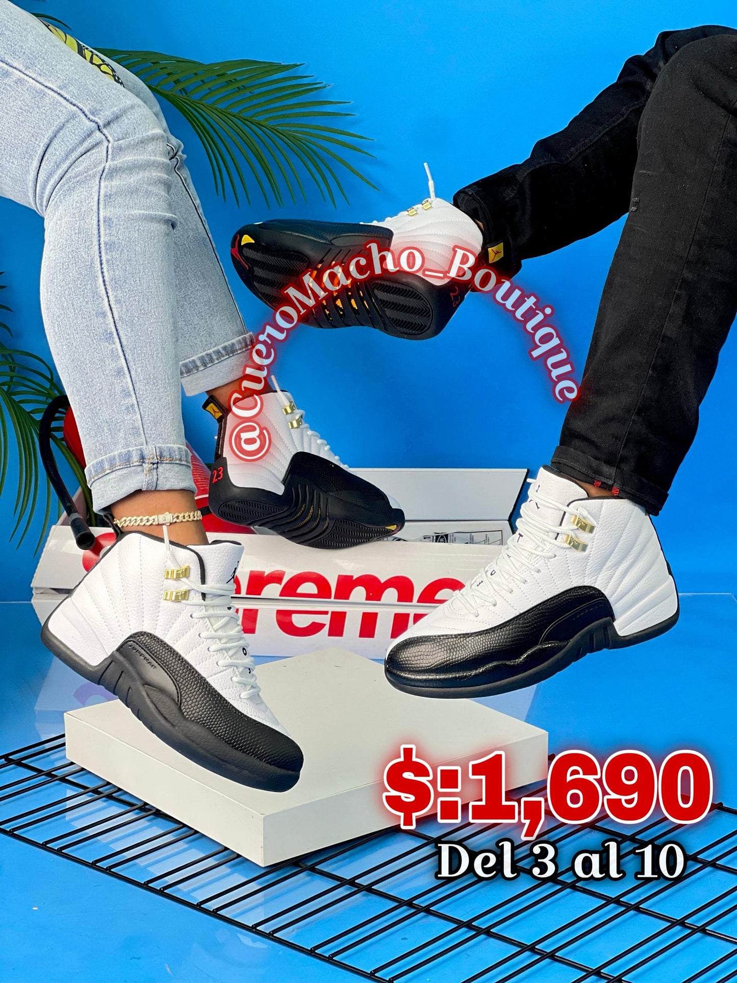 Jordan 12 Retro