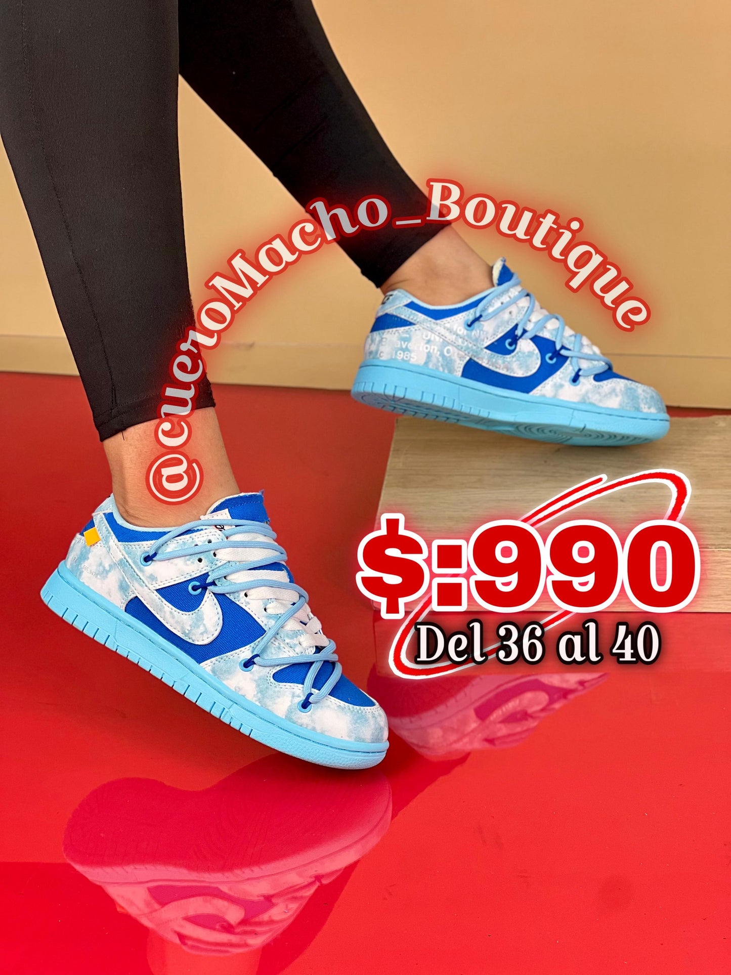 Nike Dunk (Cordones)