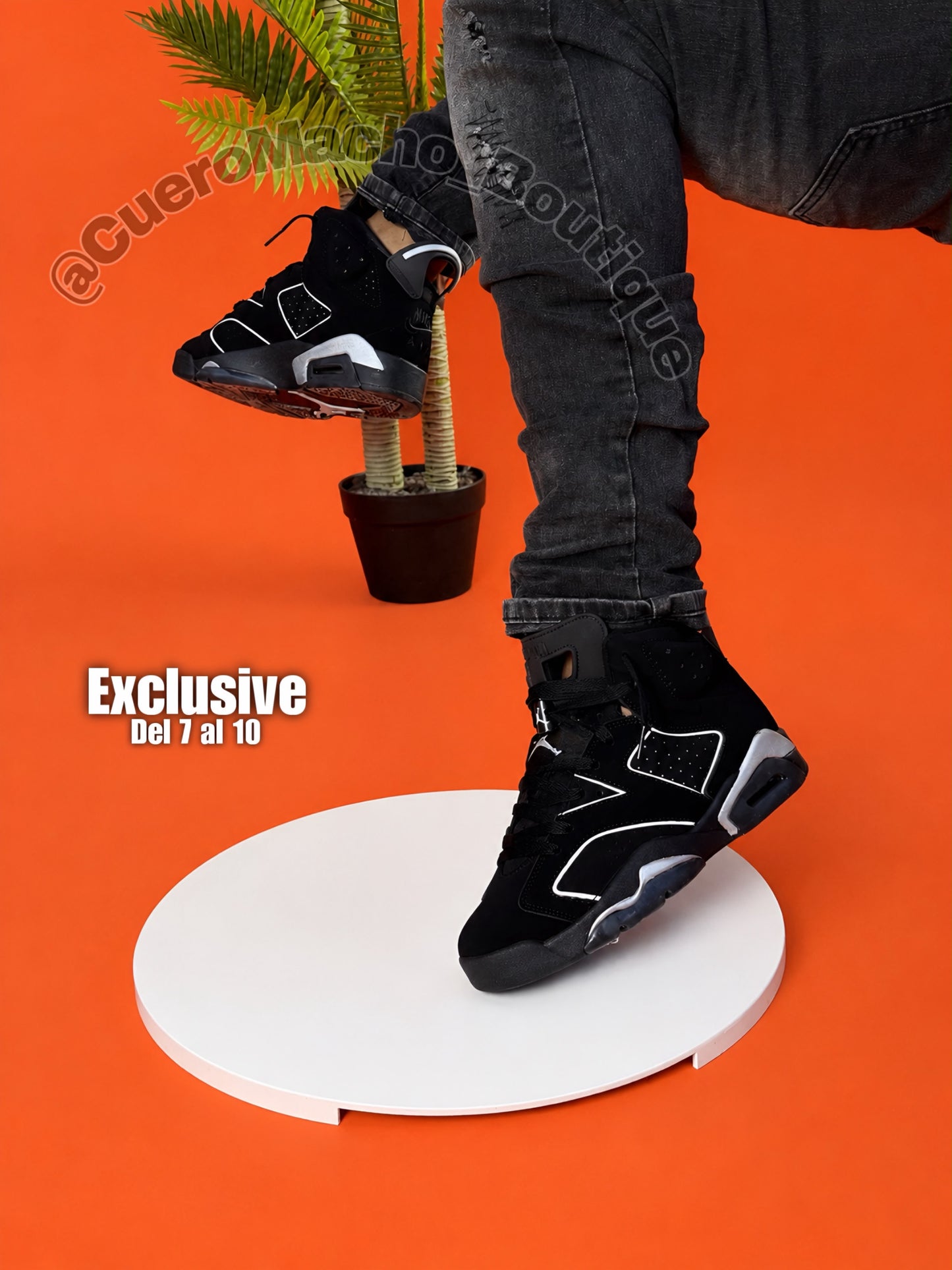Jordan 6