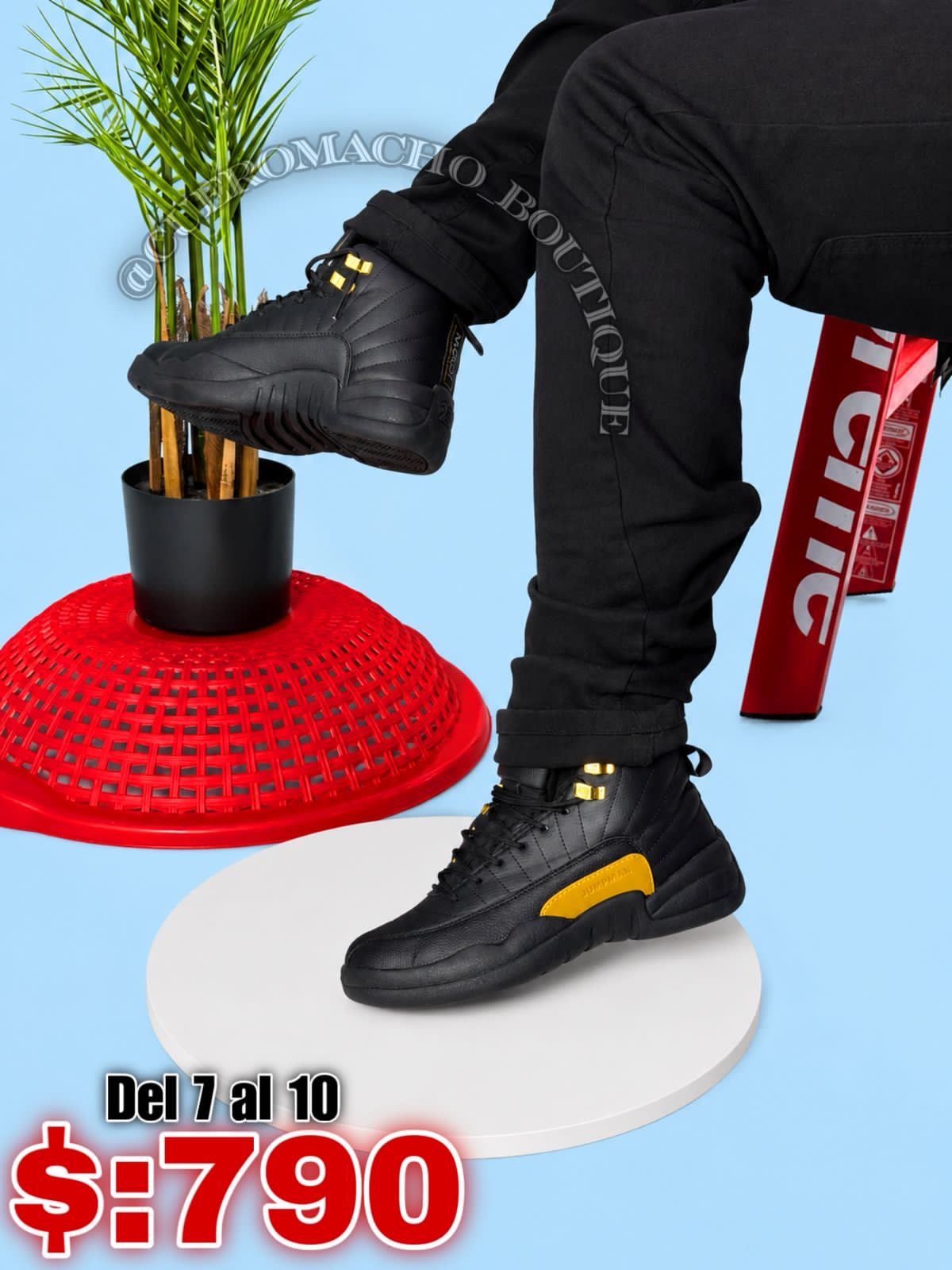 Jordan 12 oferta $:790