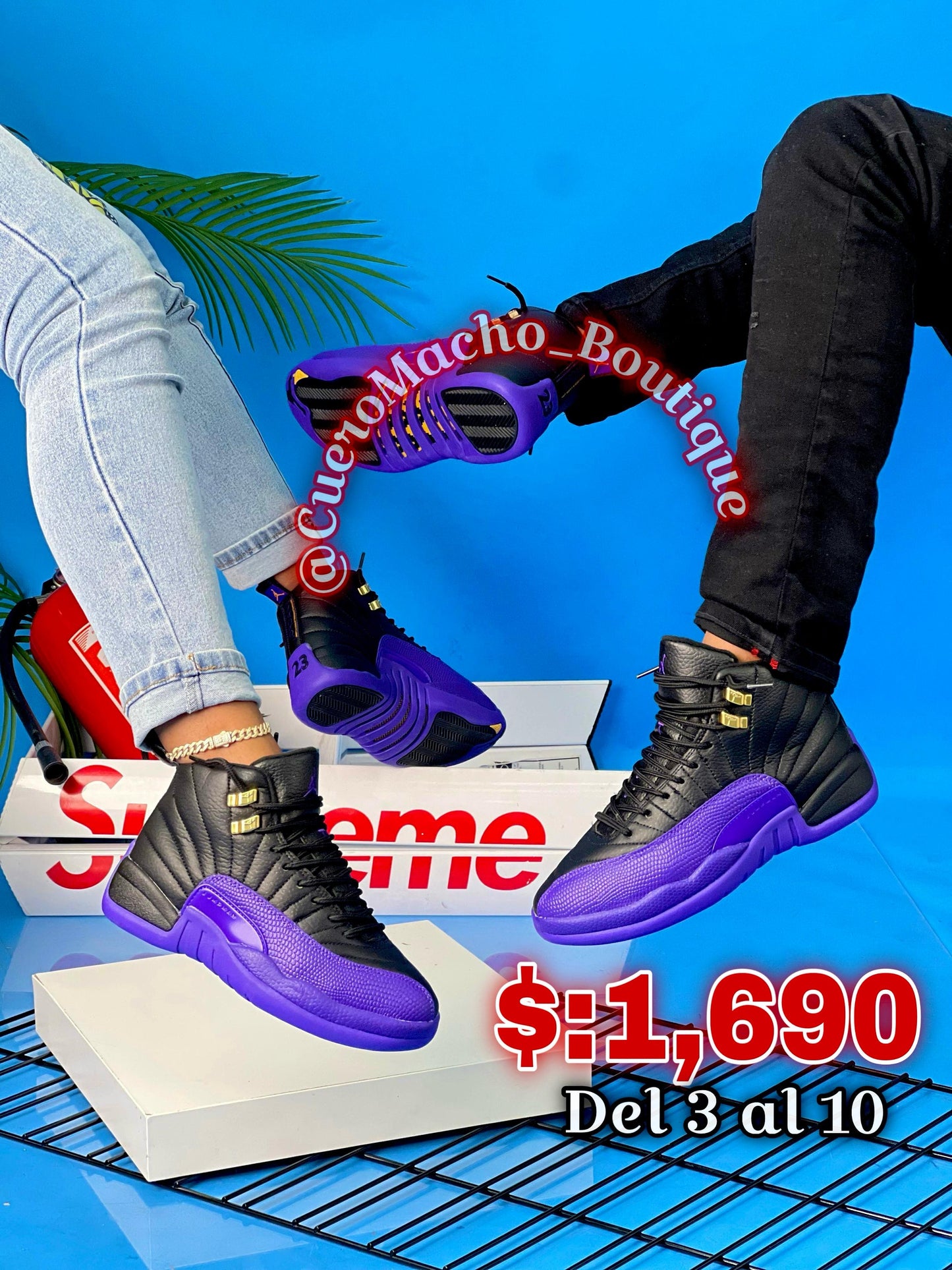 Jordan 12 Retro