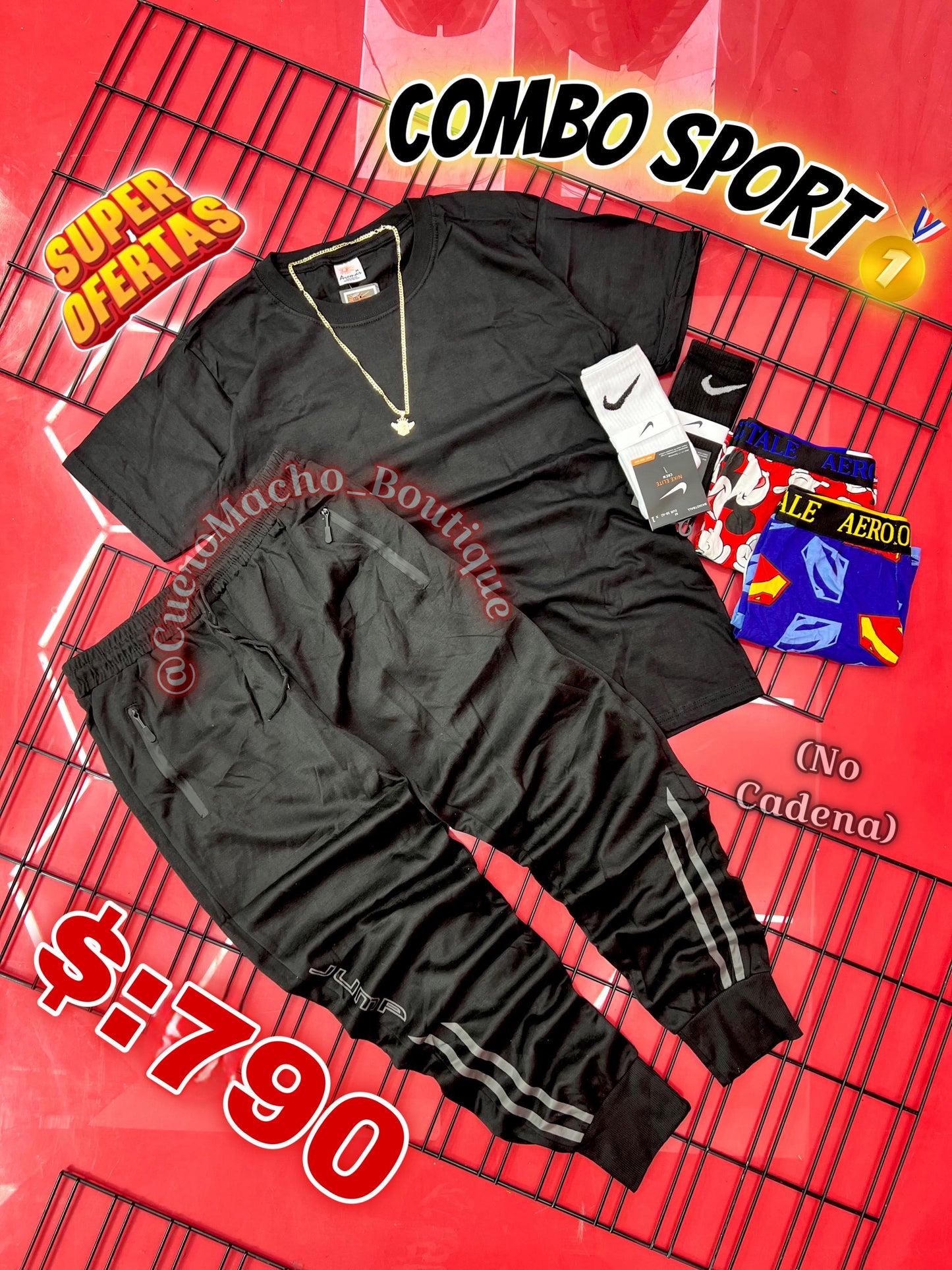 Combo ofertas $:790