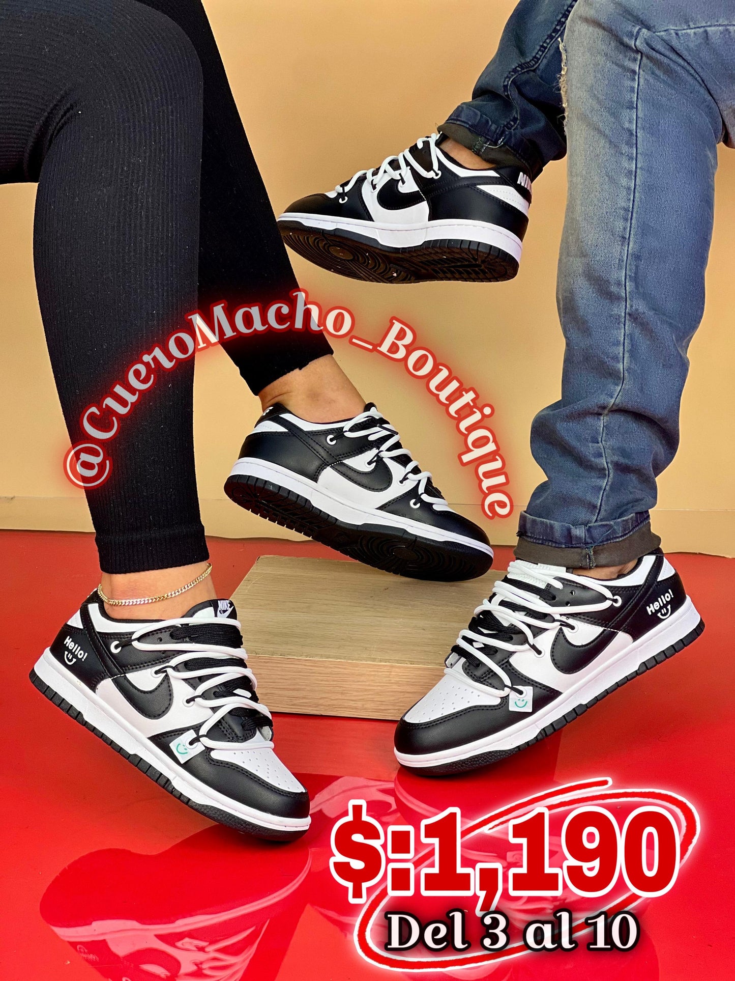 Nike Dunk (Cordones)