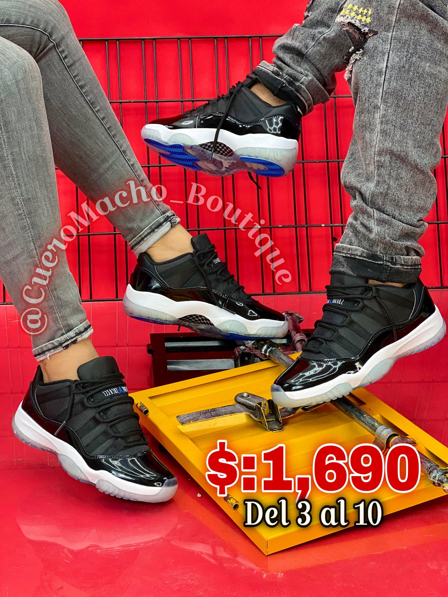 Jordan 11 bajito