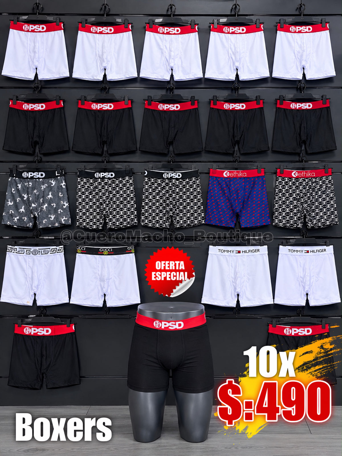 Boxer 10x $:490