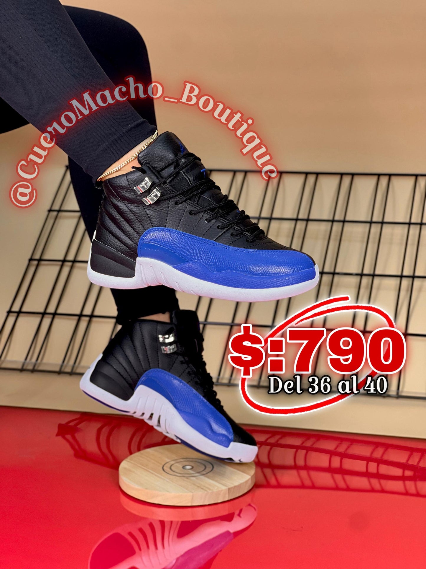 Jordan 12 súper ofertas ($:790)