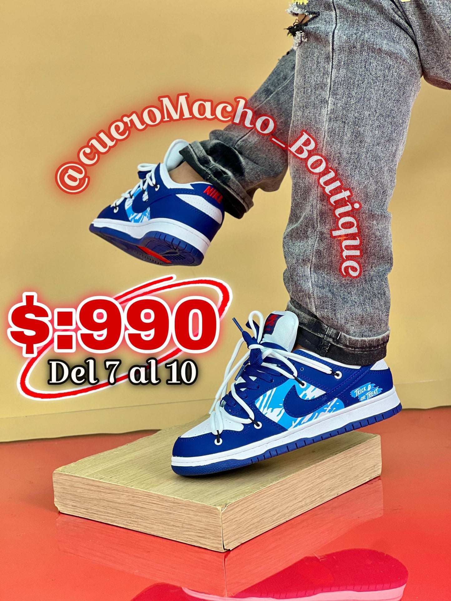 Nike Dunk (Cordones)