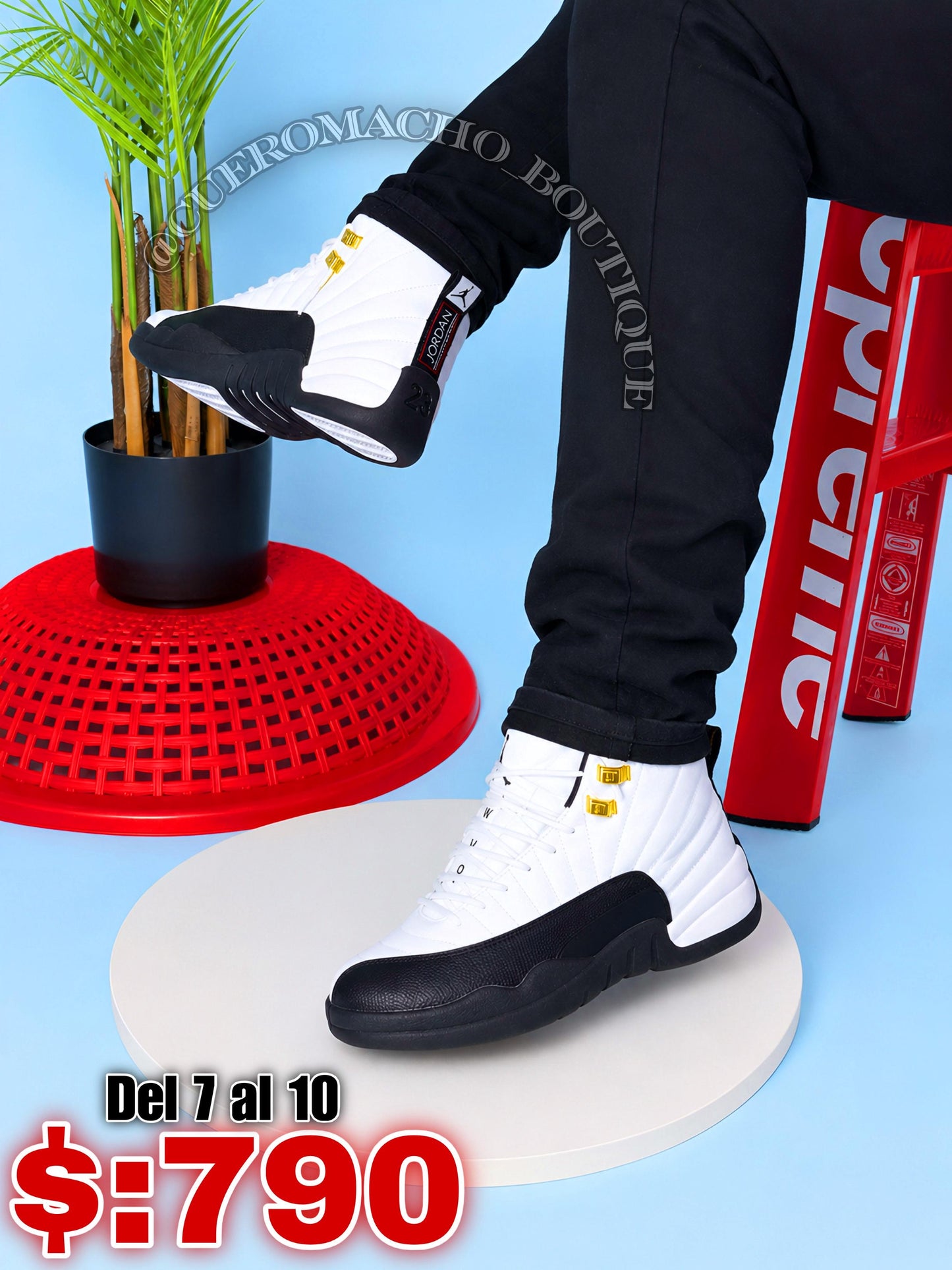 Jordan 12 oferta $:790