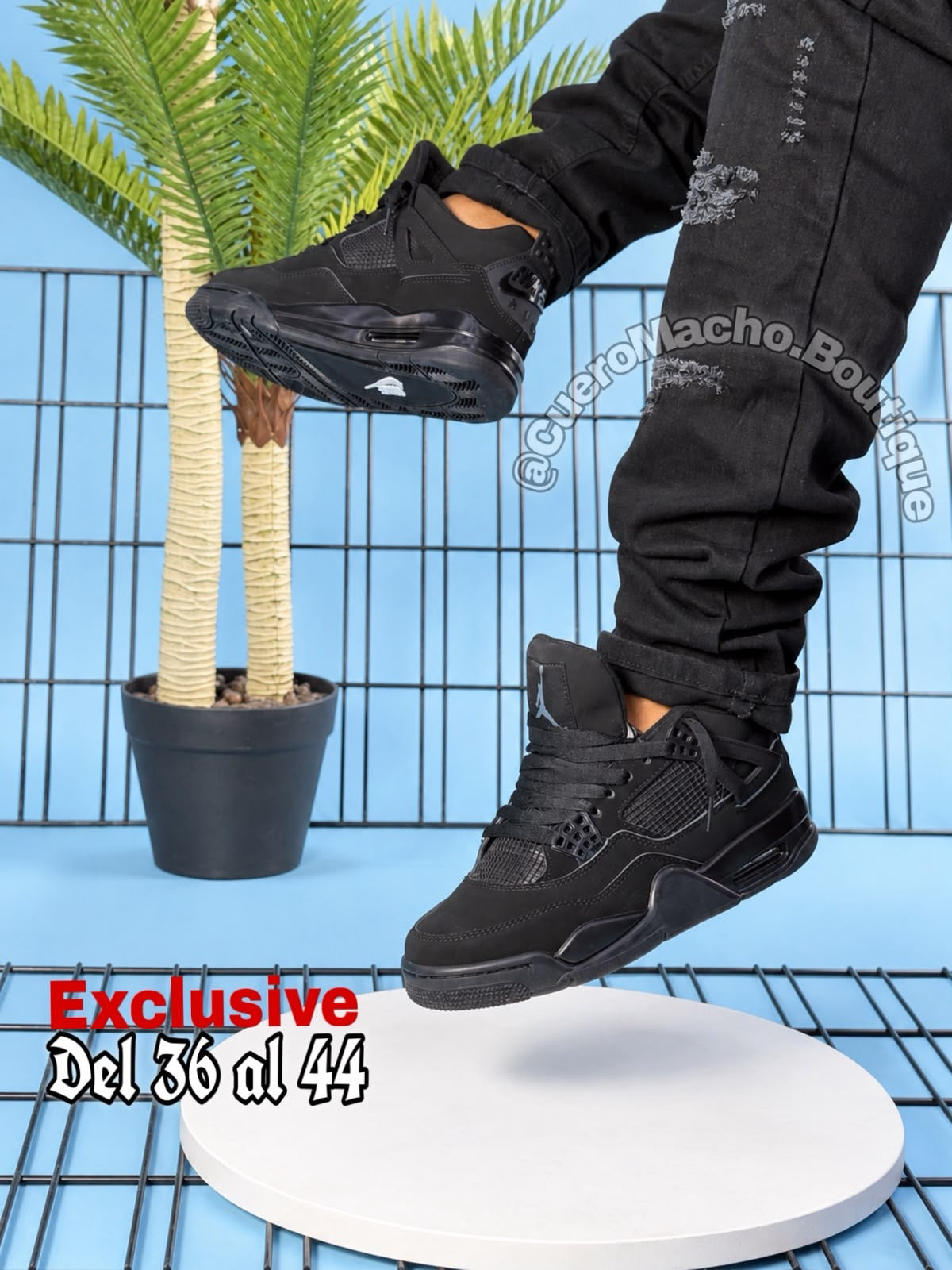 Jordan Retros Exclusivos