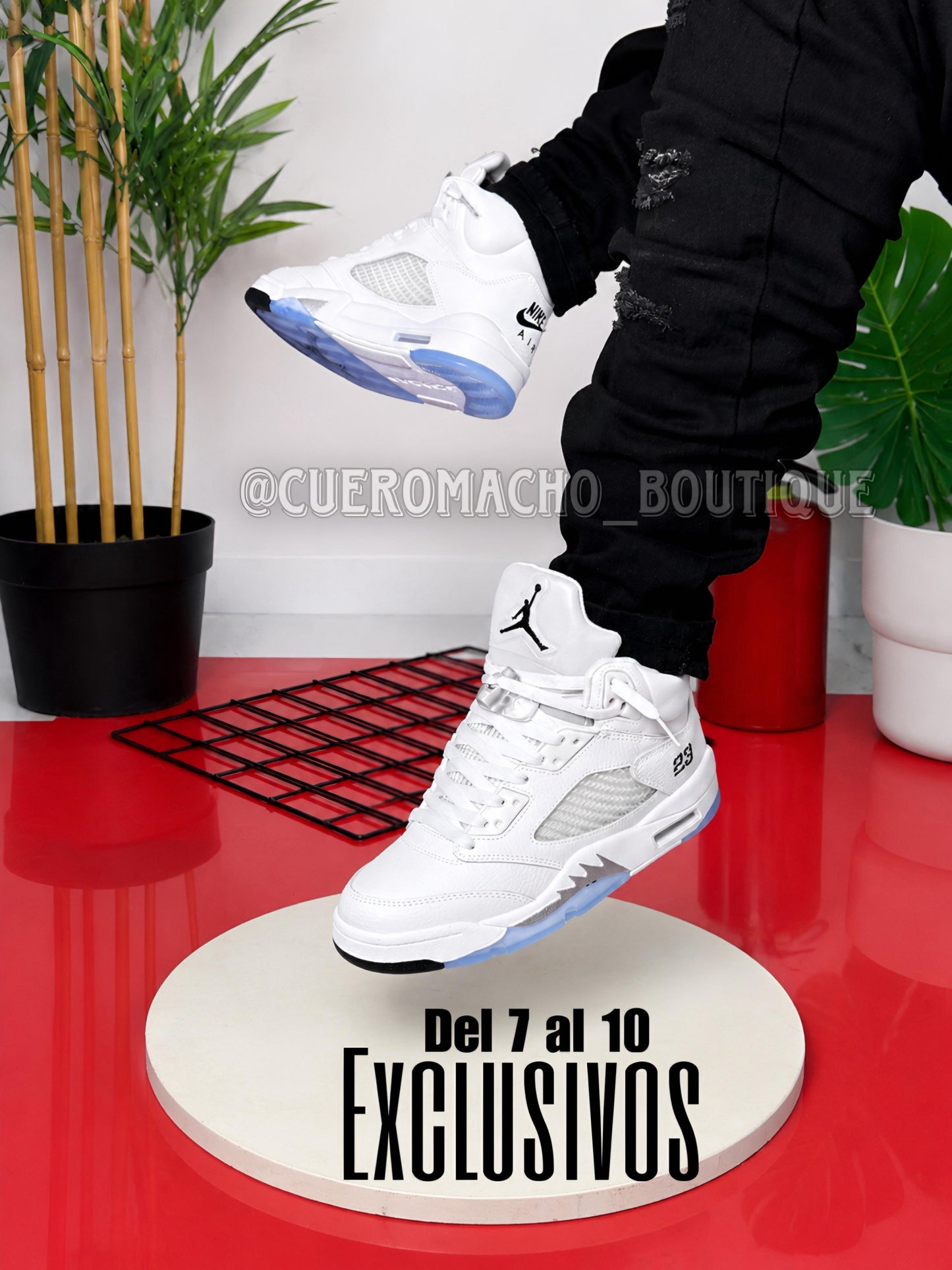 Jordan 5 Retro Exclusivos