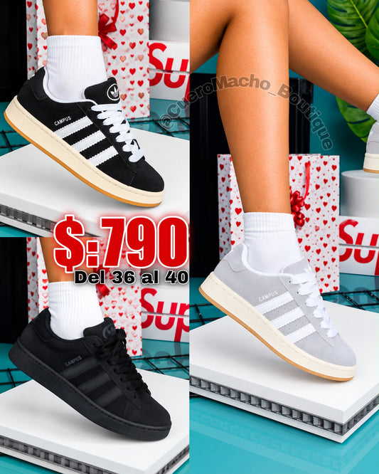 Adidas campus