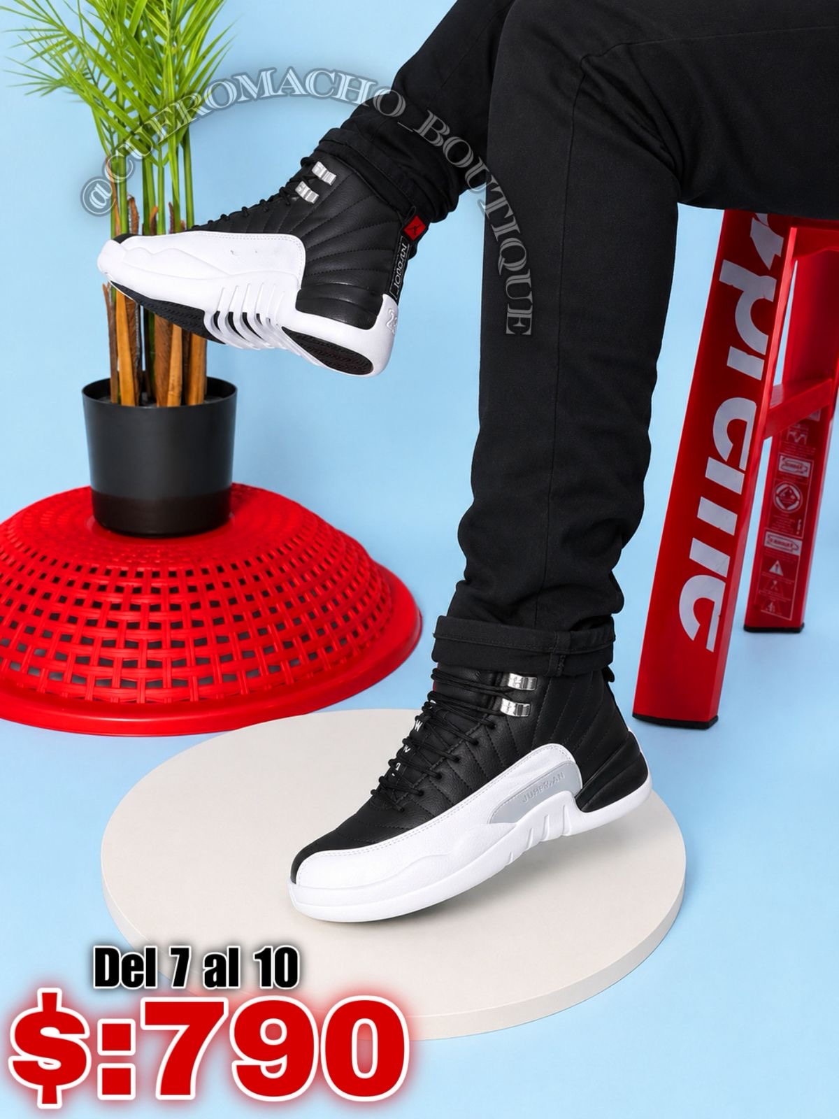 Jordan 12 oferta $:790
