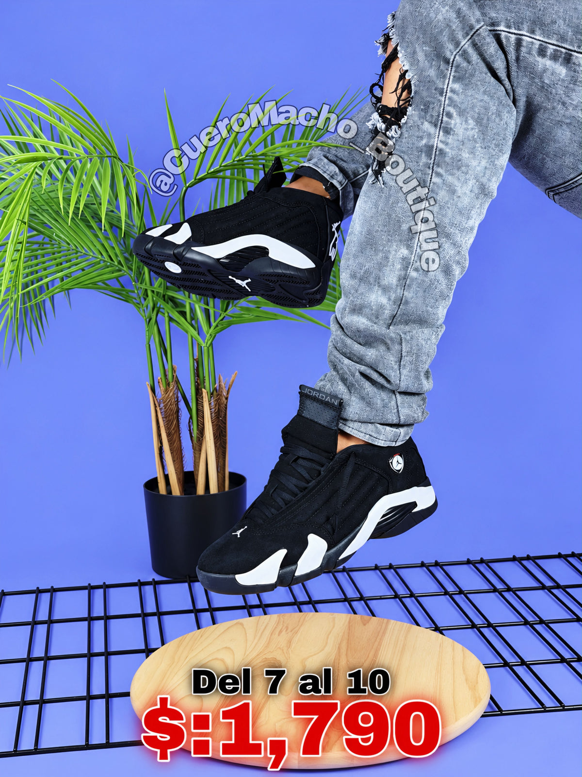 Jordan 14 Retro