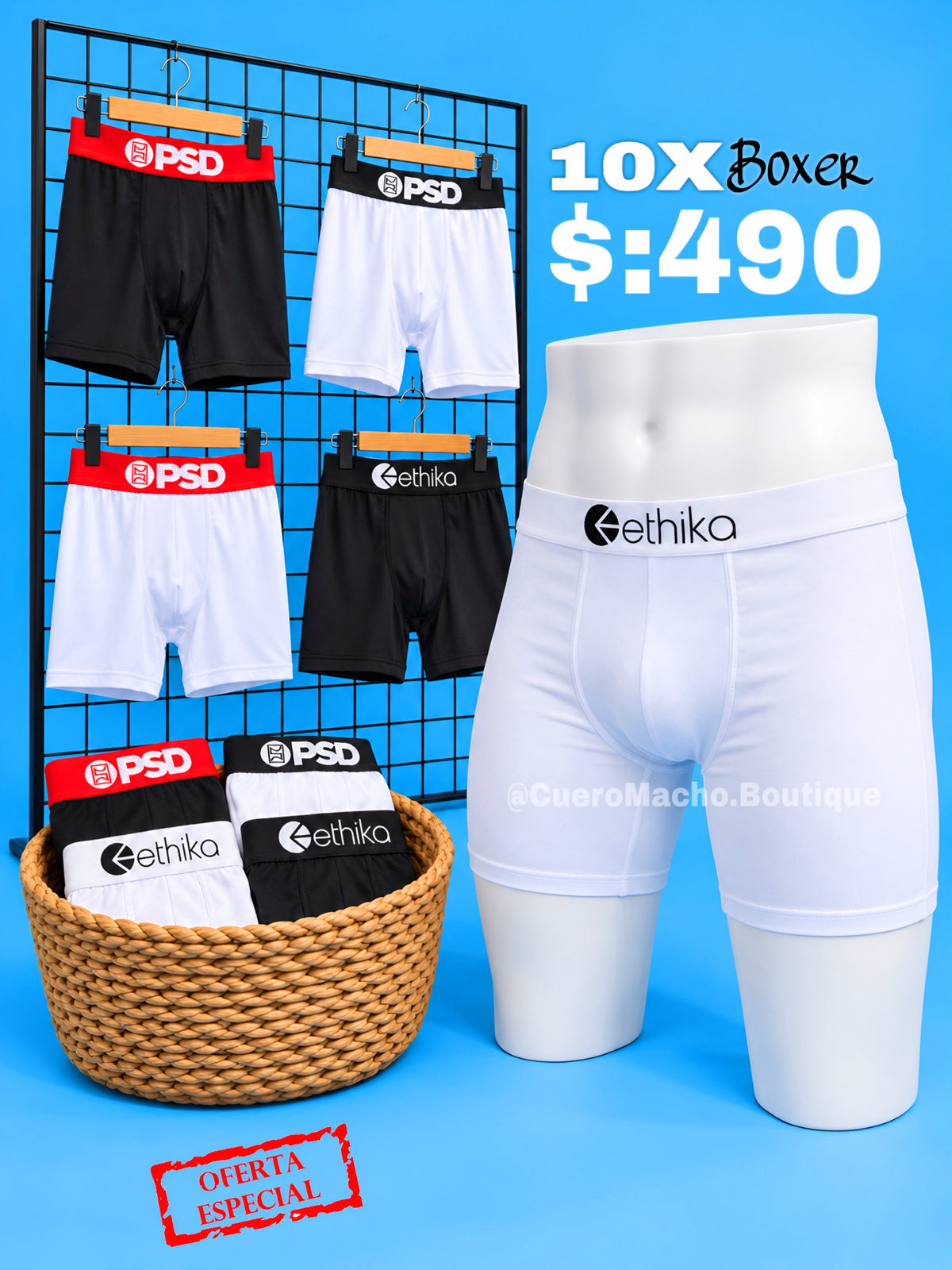 Boxer 10x $:490