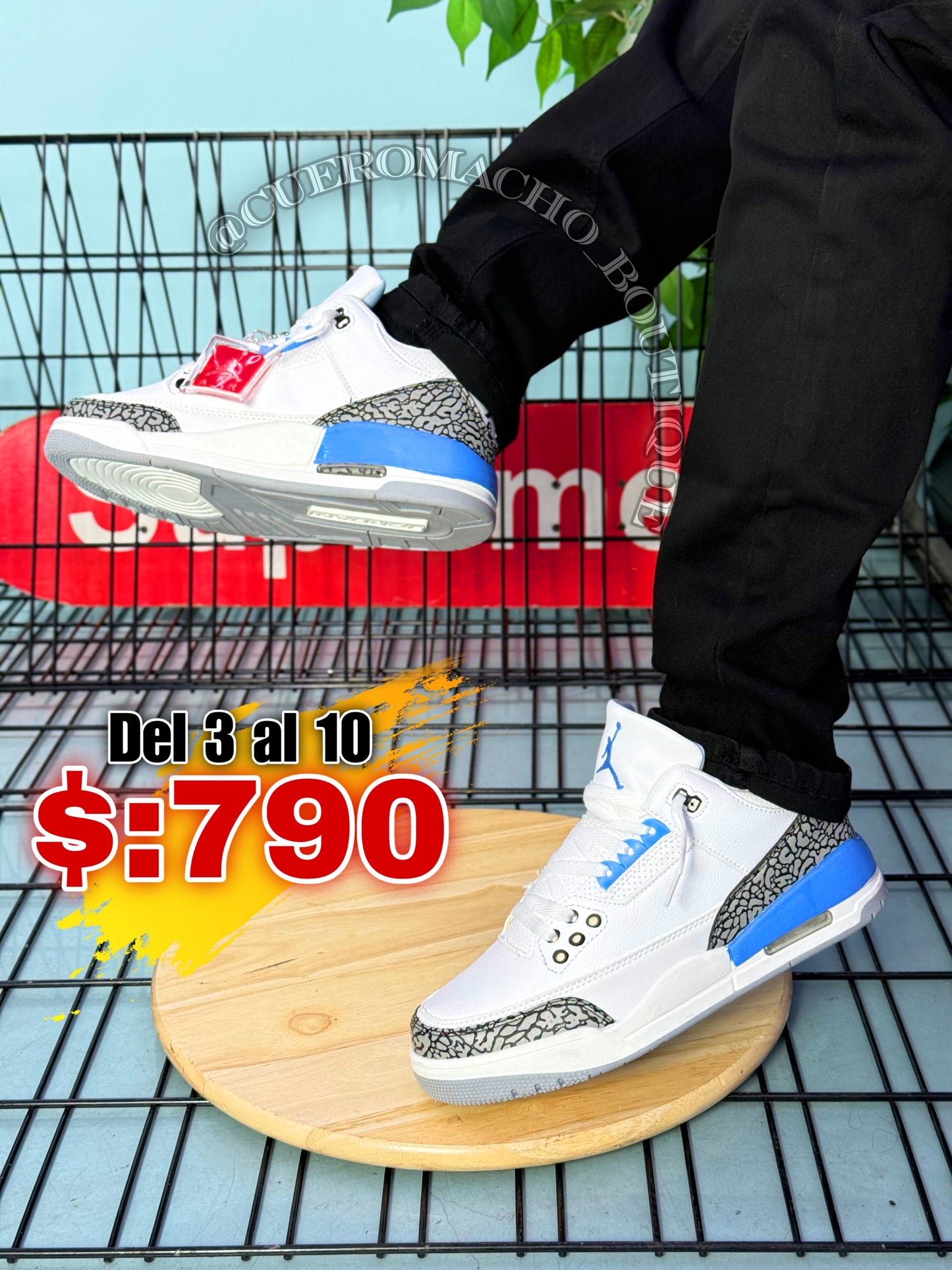 Jordan 3 oferta $:790