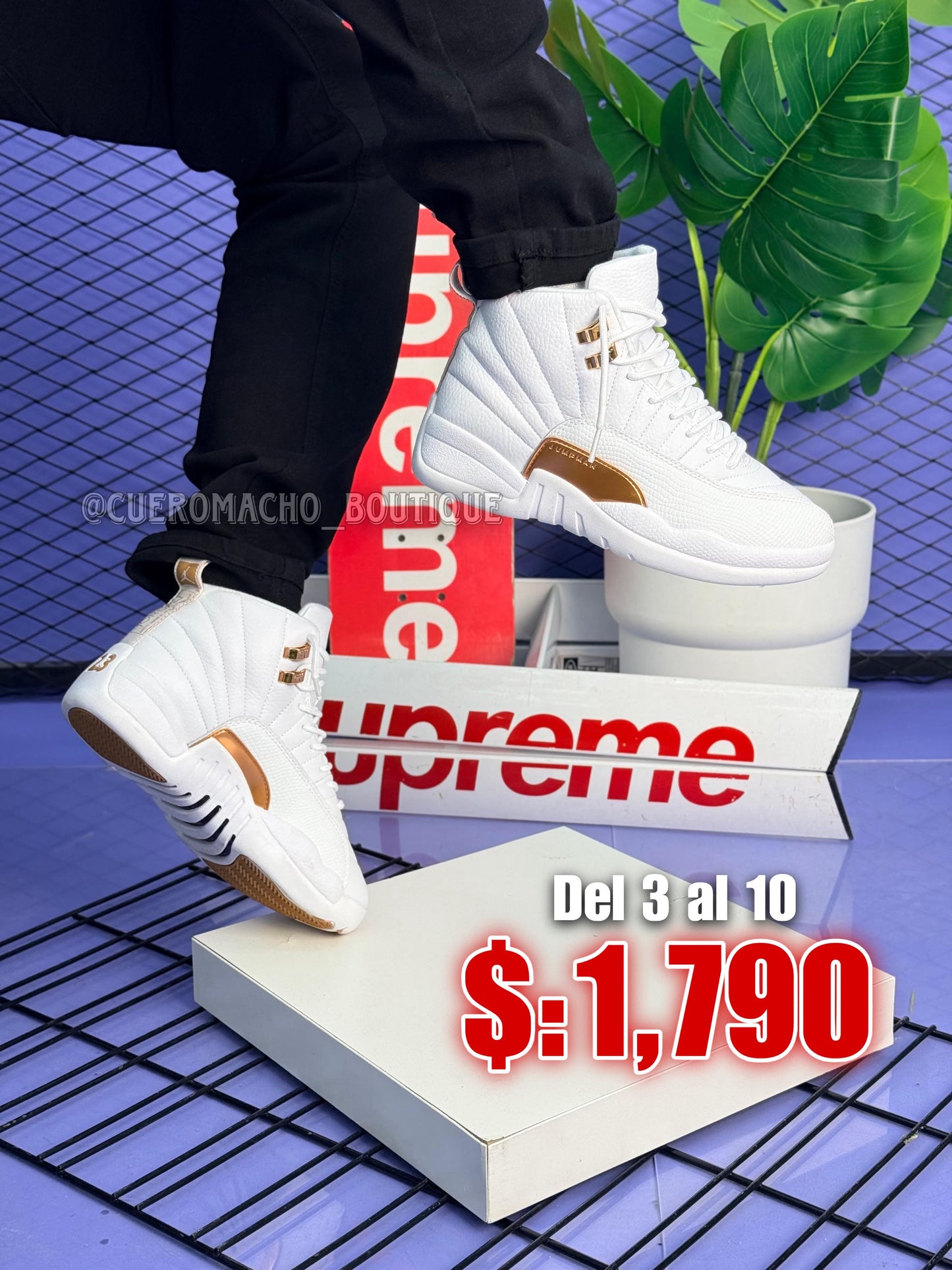 Jordan 12 Retro