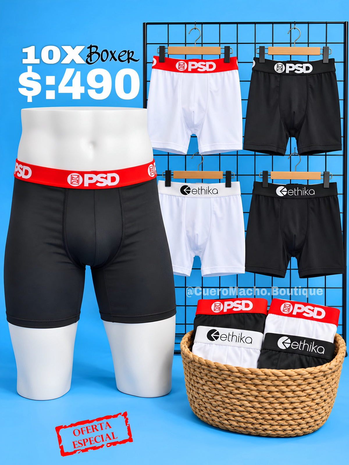 Boxer 10x $:490
