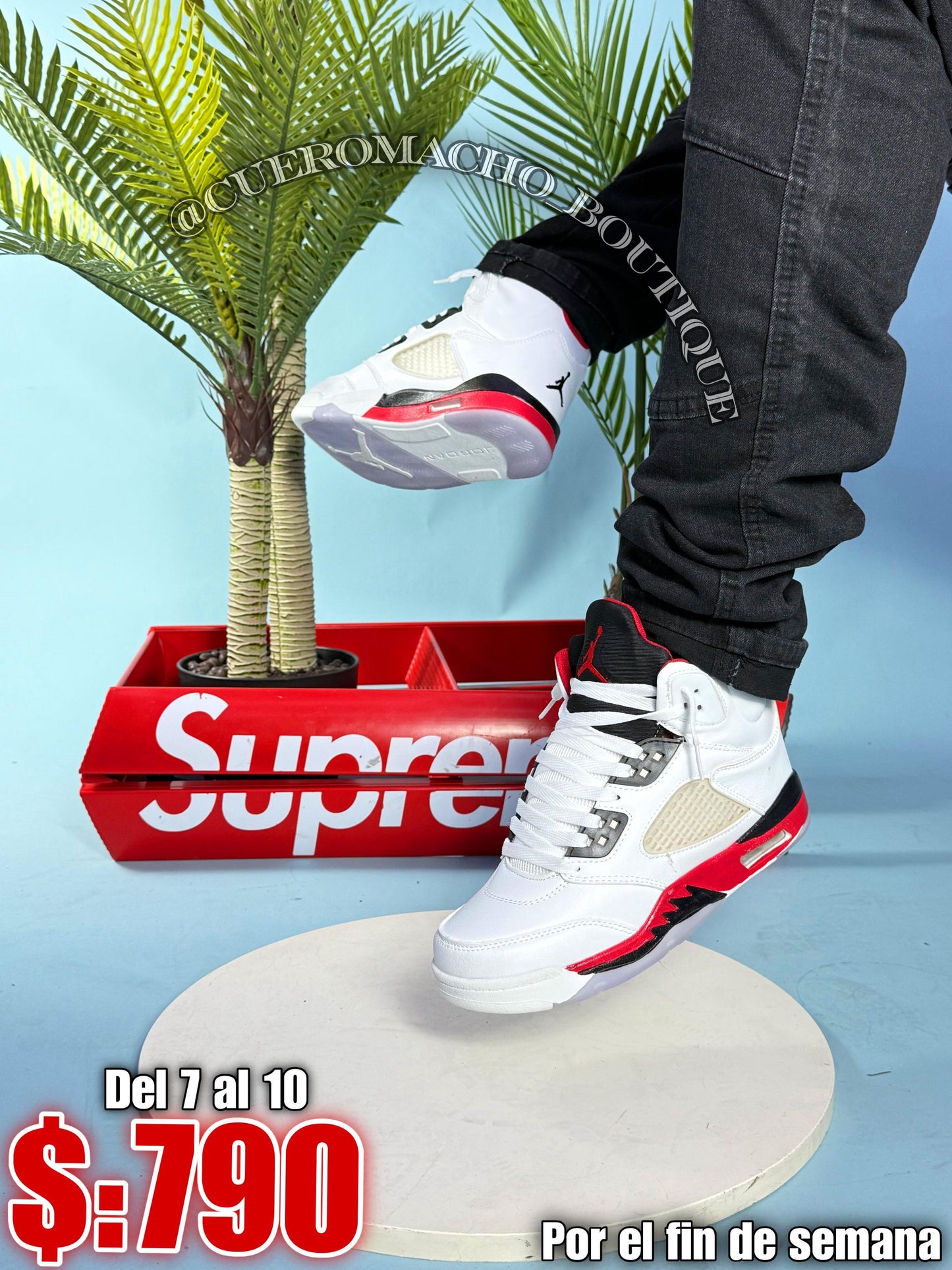 Jordan 5 oferta 790