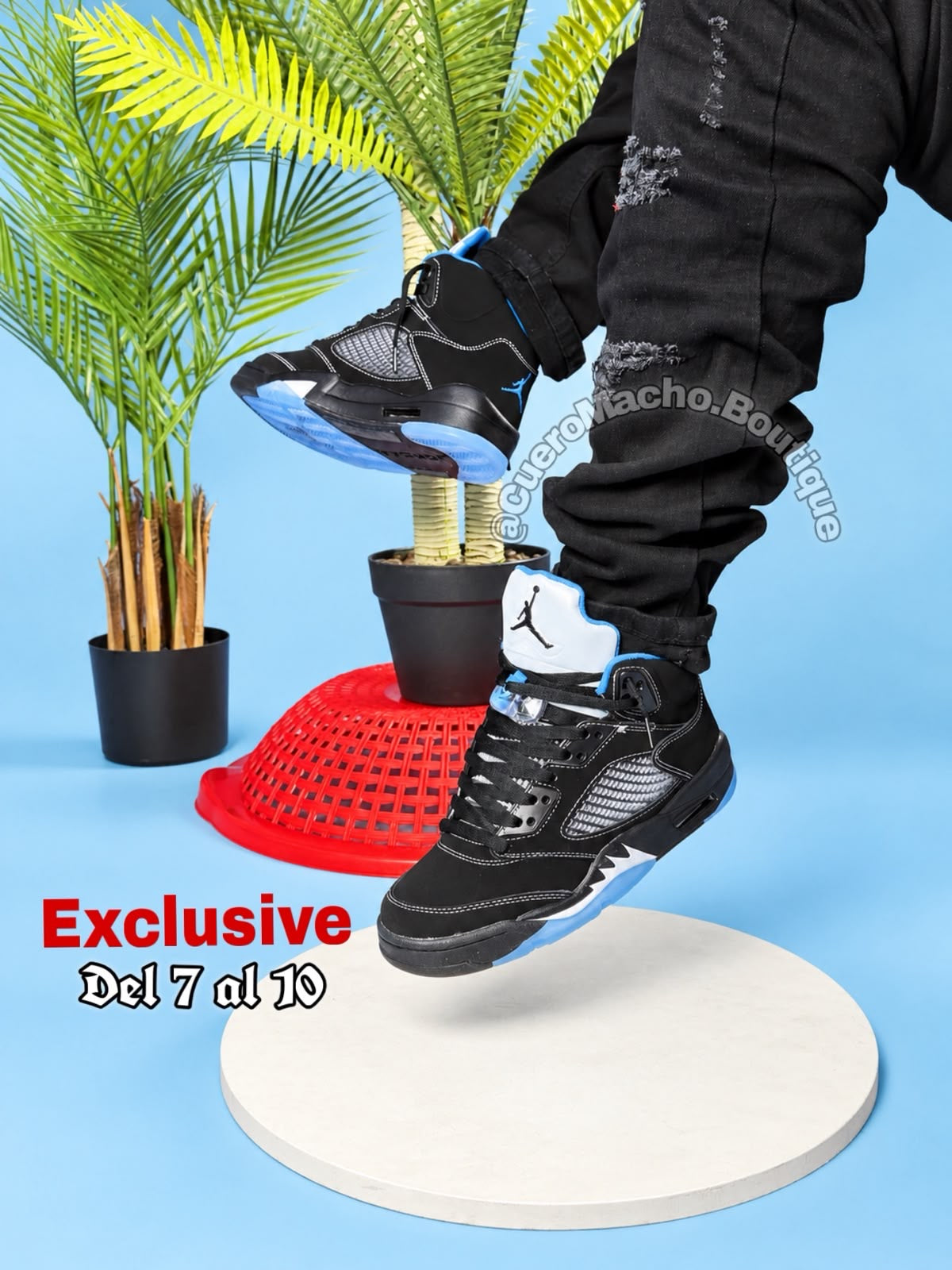 Jordan Retros Exclusivos