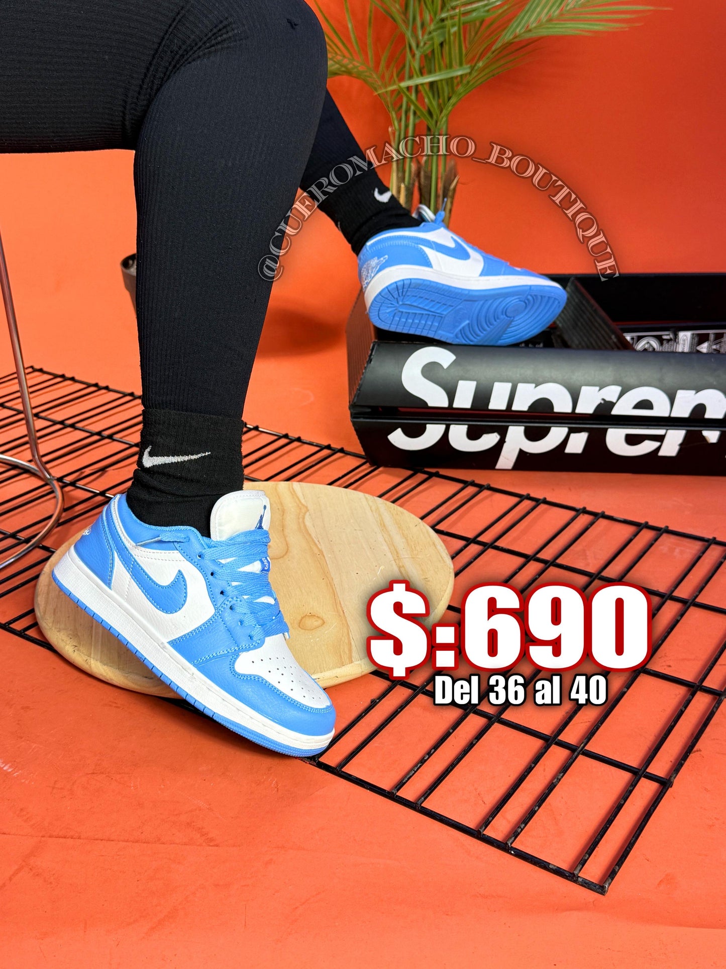 Jordan 1 bajito $:690
