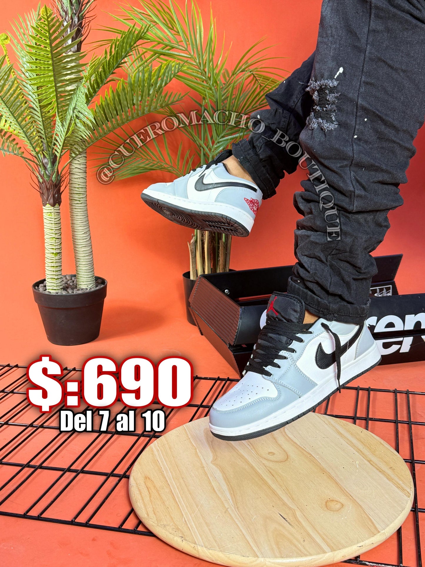 Jordan 1 bajito $:690