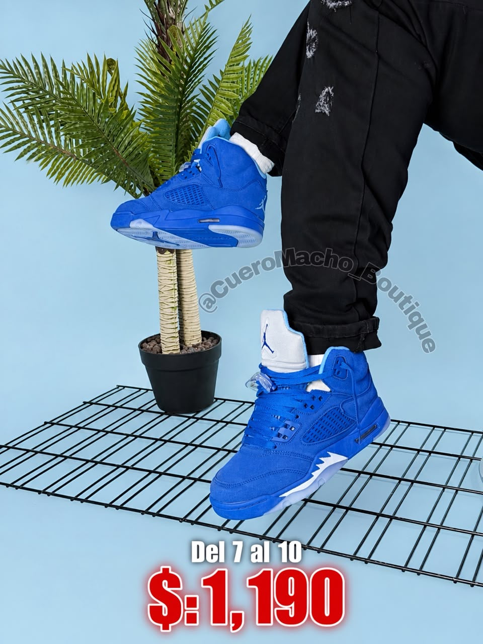 Jordan 5 oferta
