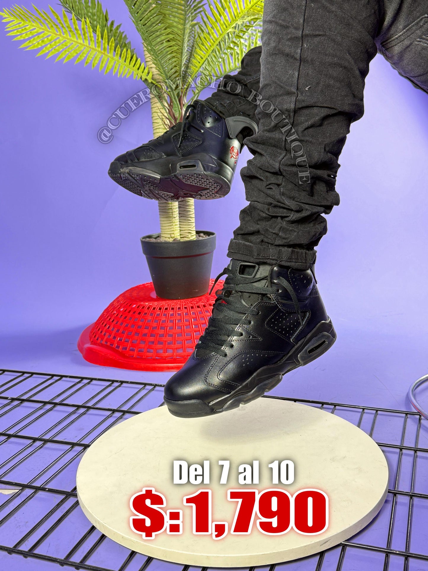 Jordan 6 Retro