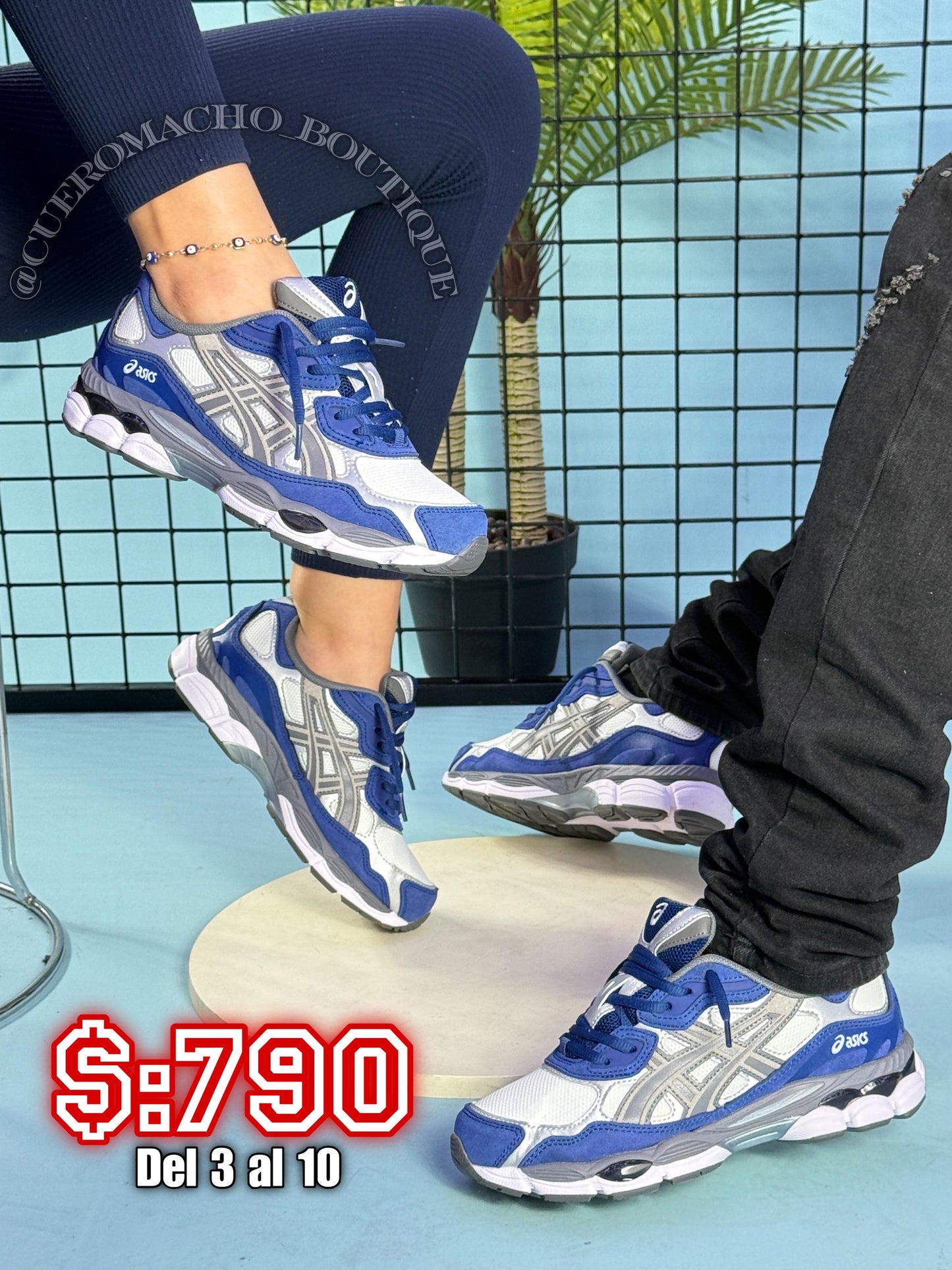 Oasis New Modelo
