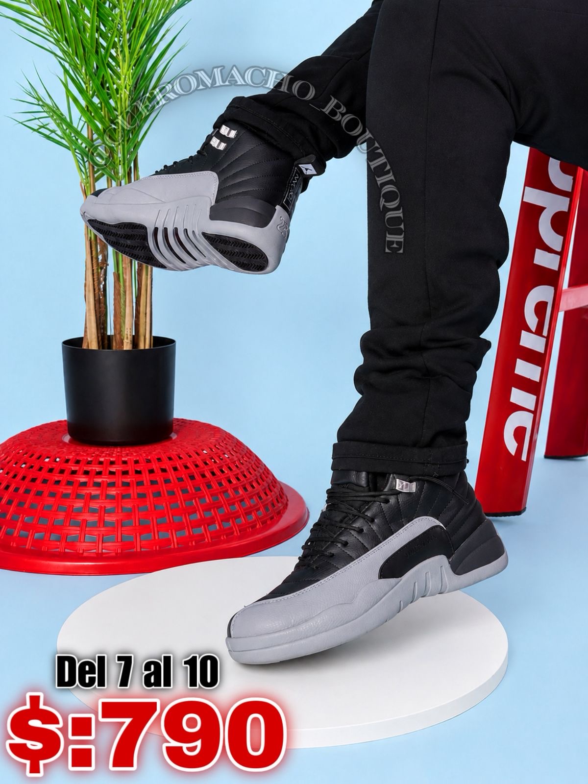 Jordan 12 y 14 oferta $:790