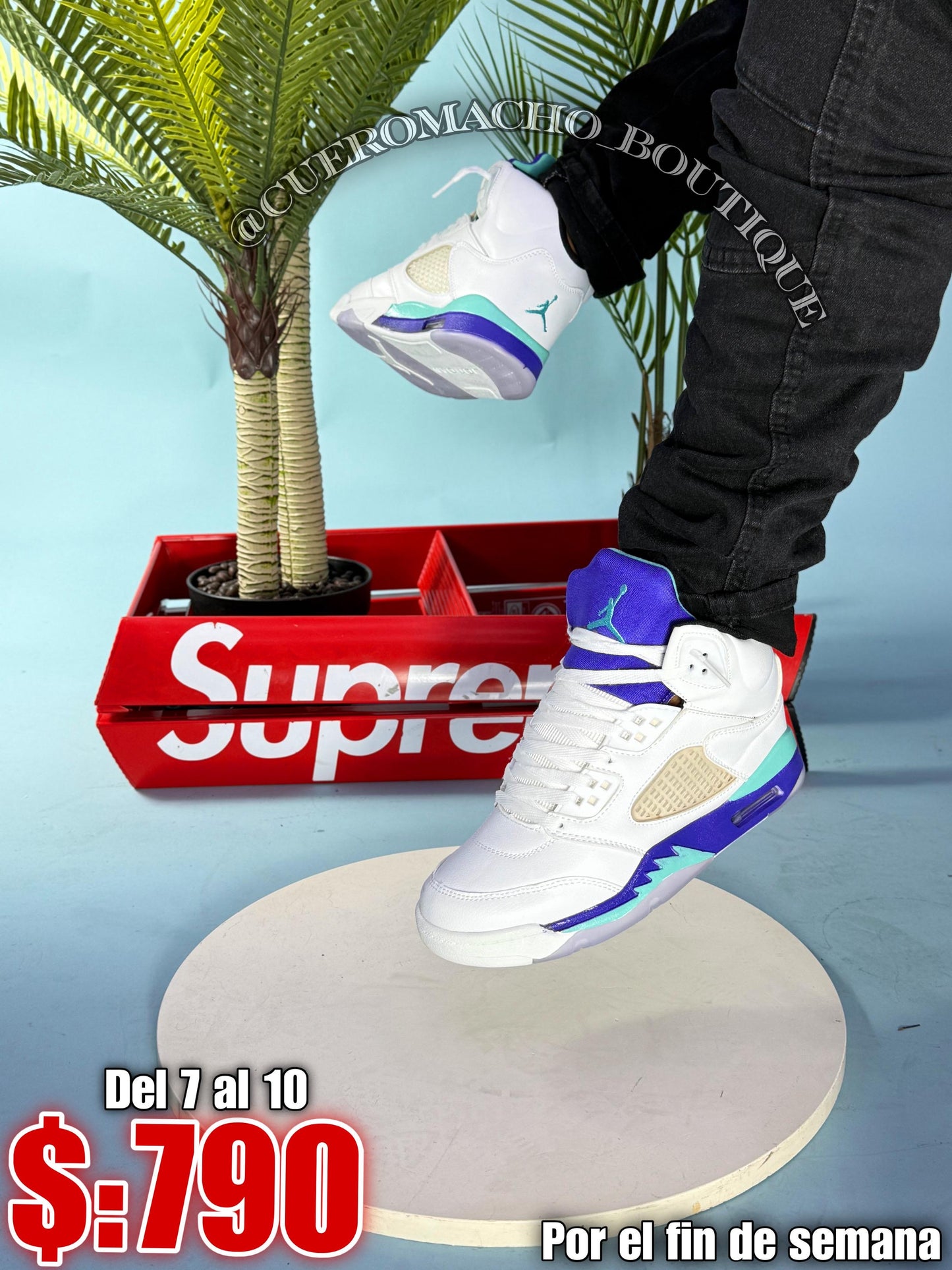Jordan 5 oferta 790