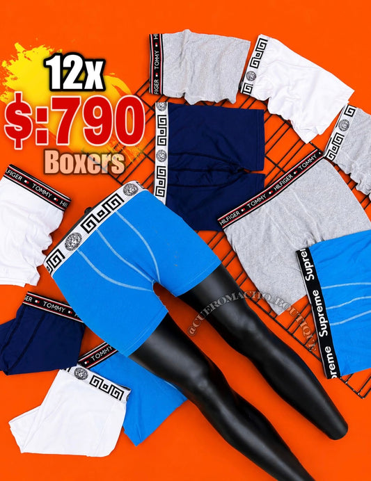 12 Boxer x $:790