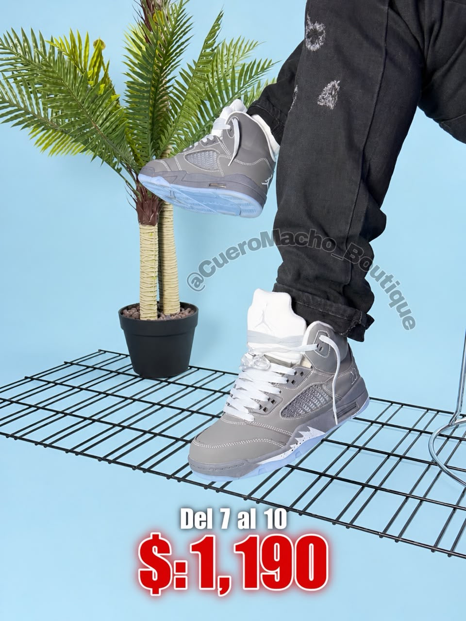Jordan 5 oferta
