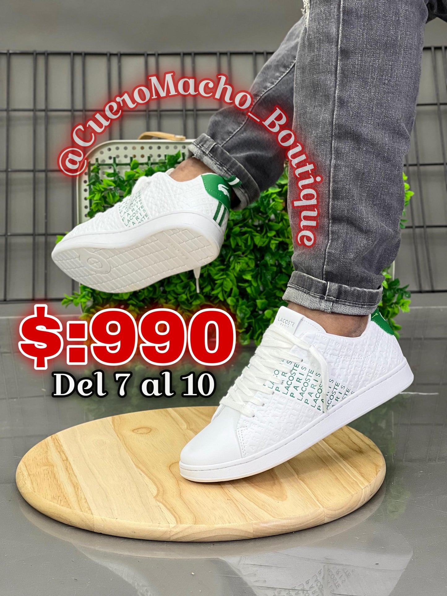 Tenis Lacoste🦎