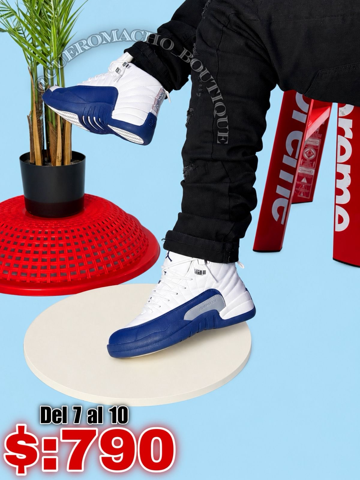 Jordan 12 oferta $:790