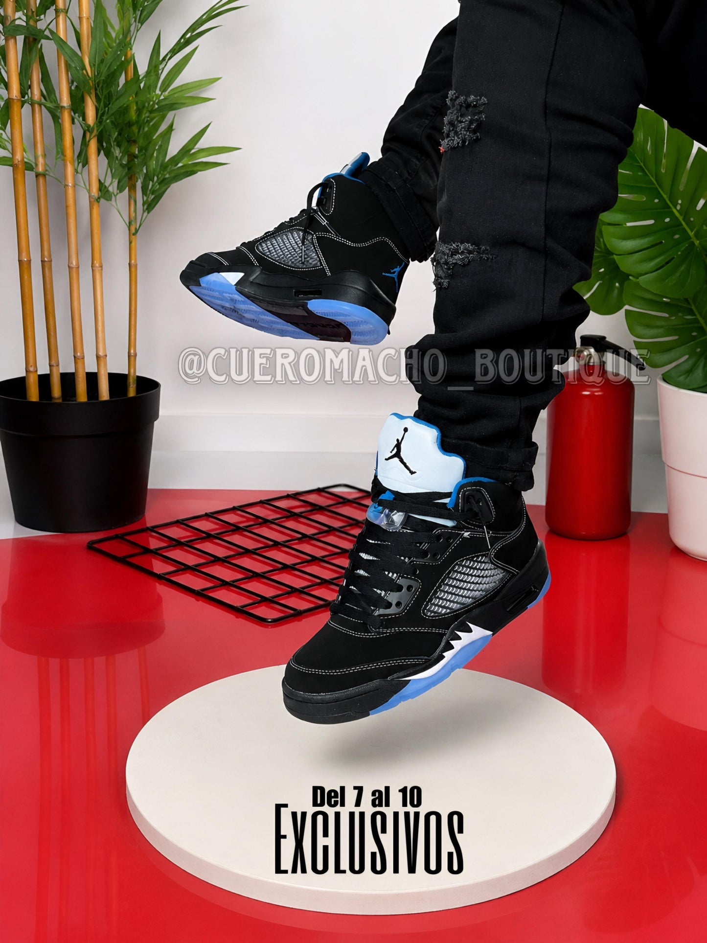 Jordan 5 Retro Exclusivos