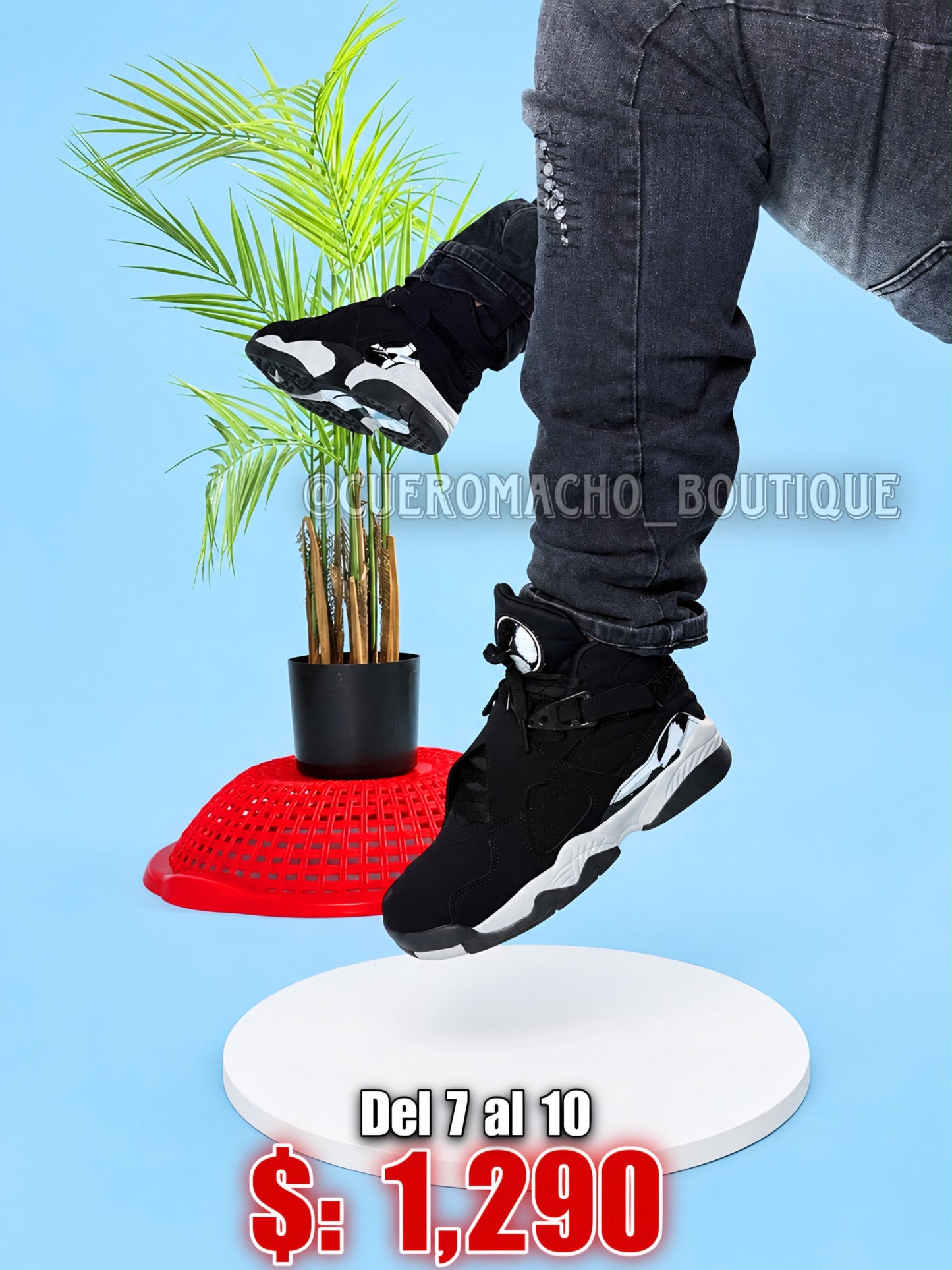 Jordan 8 ofertas