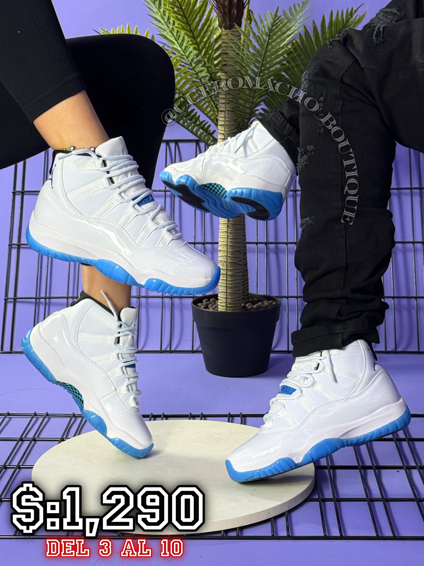 Jordan 11 $:1,290