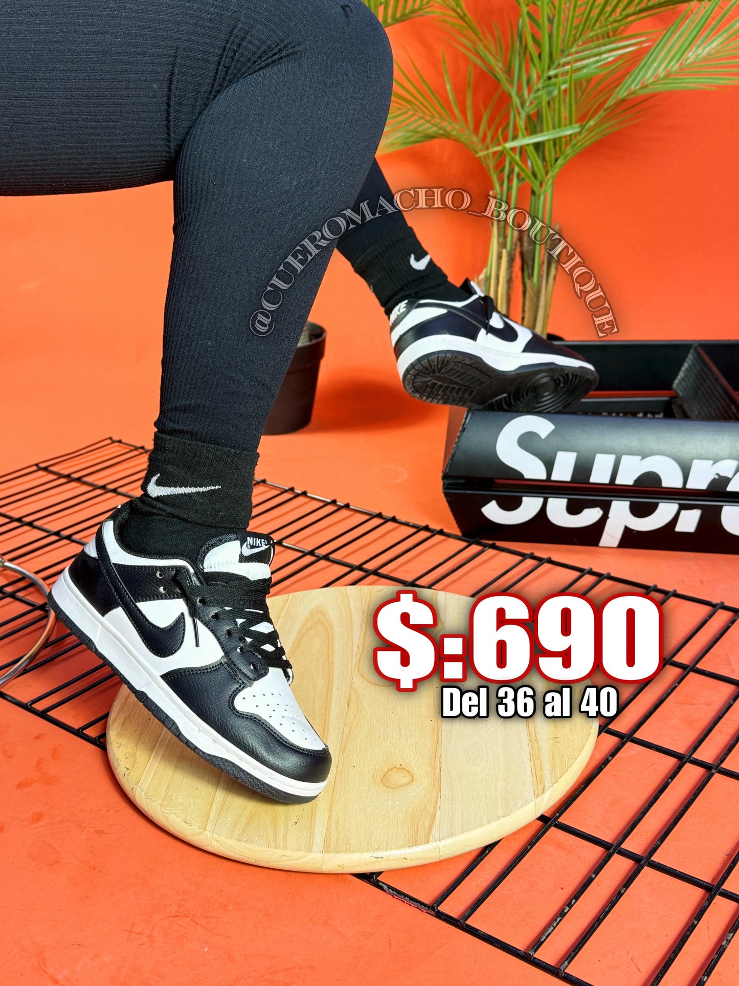 Jordan 1 bajito $:690