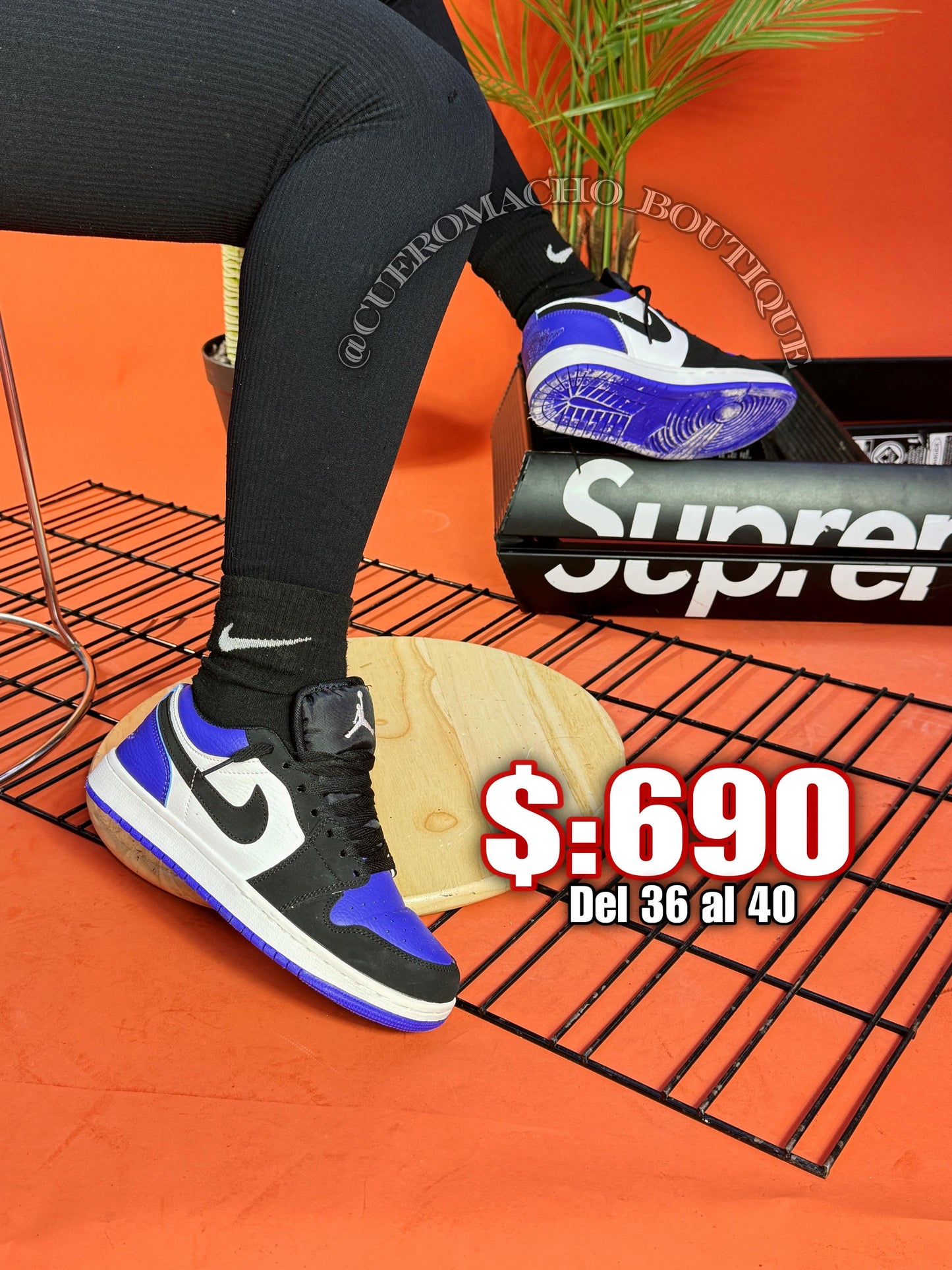 Jordan 1 bajito $:690