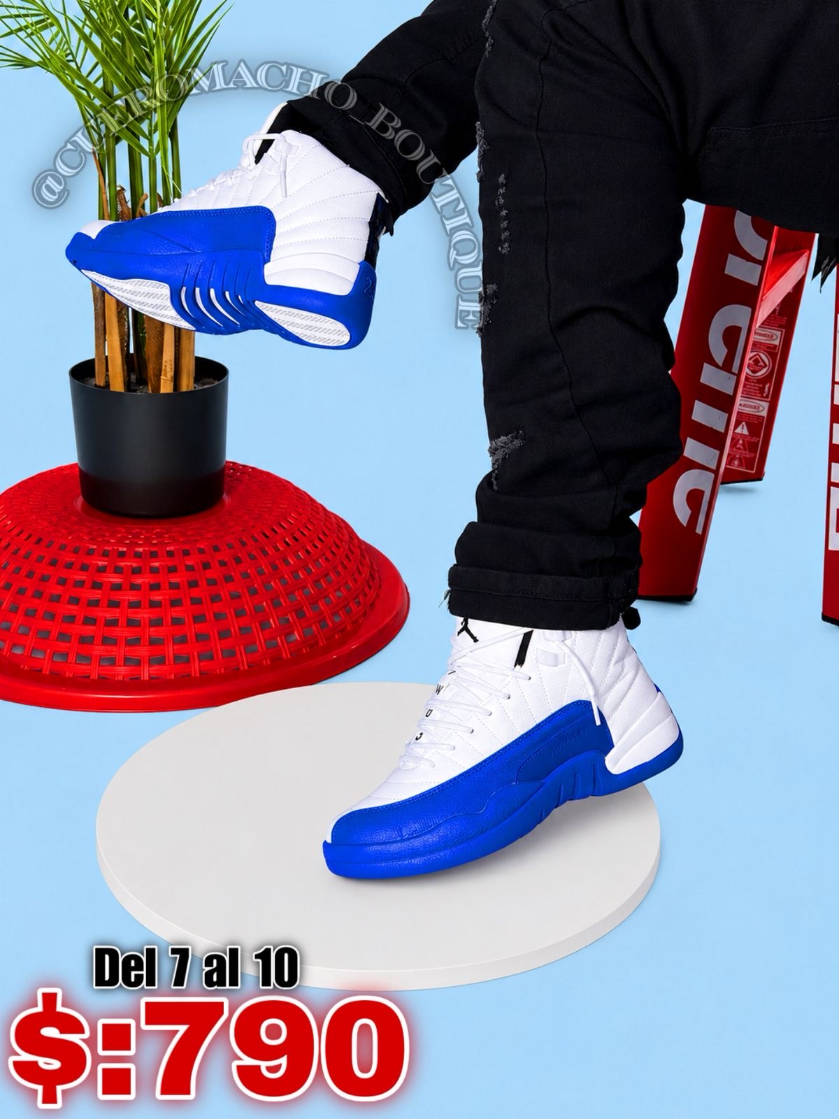 Jordan 12 y 14 oferta $:790
