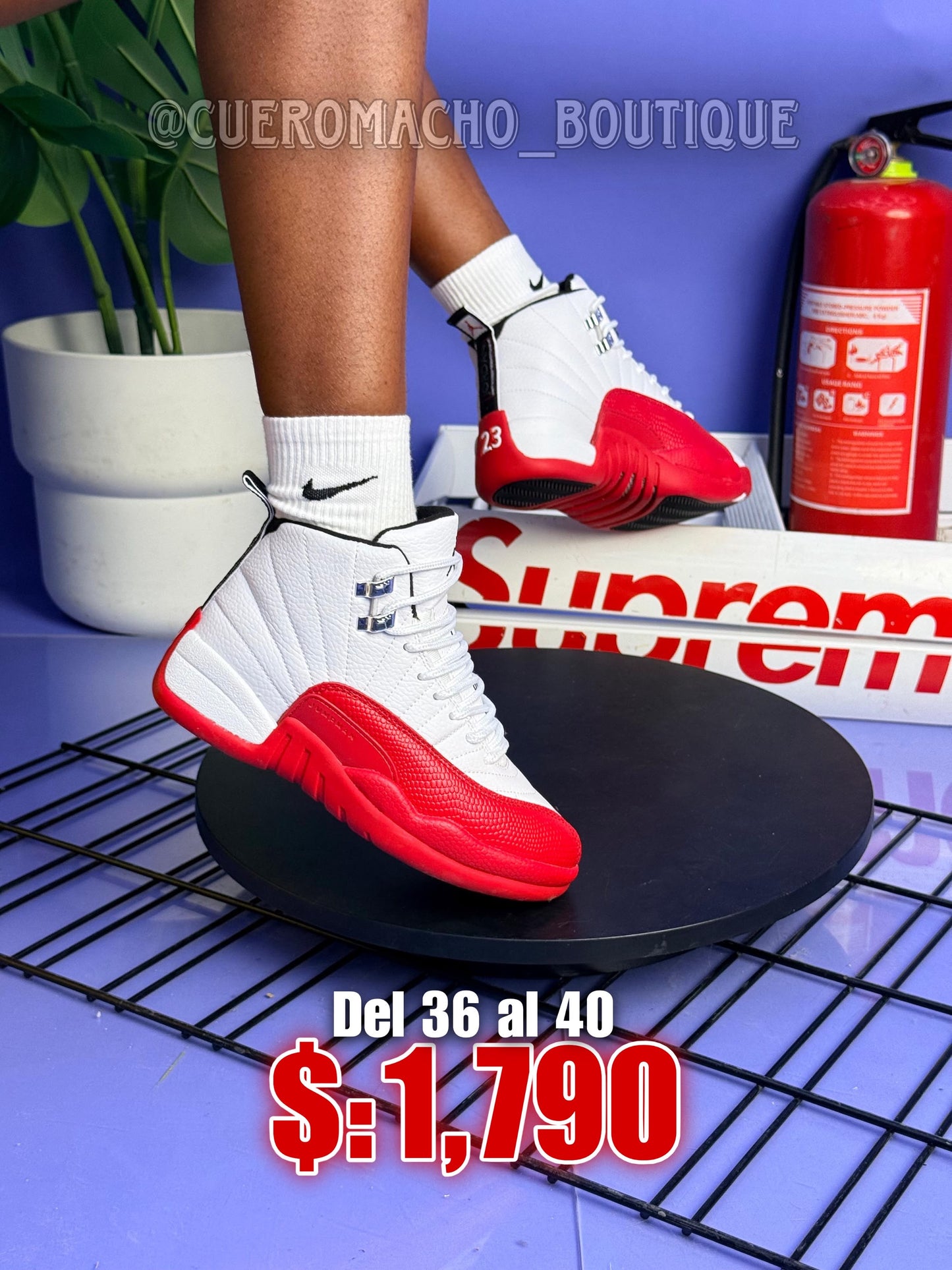 Jordan 12 Retro