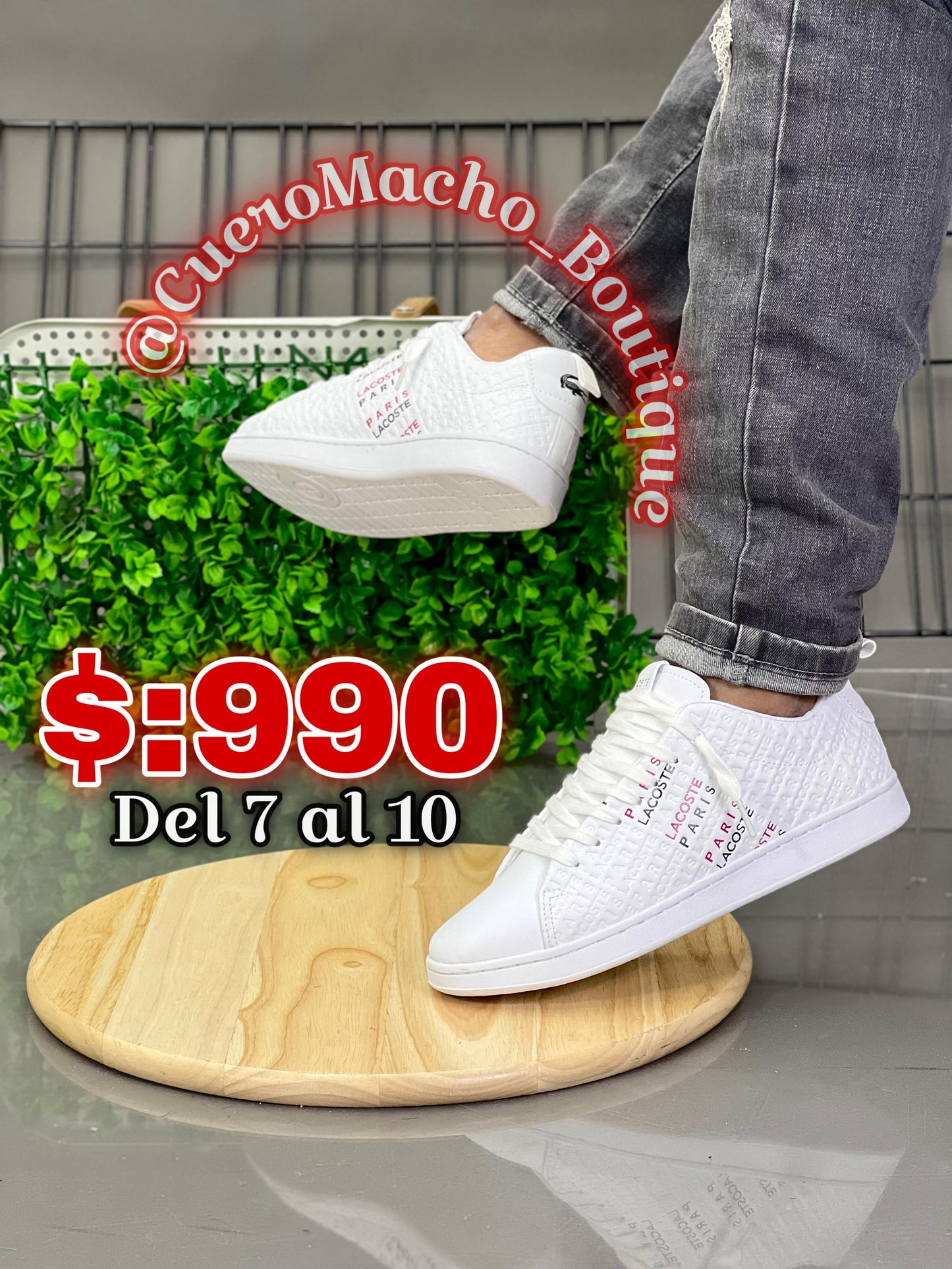 Tenis Lacoste🦎