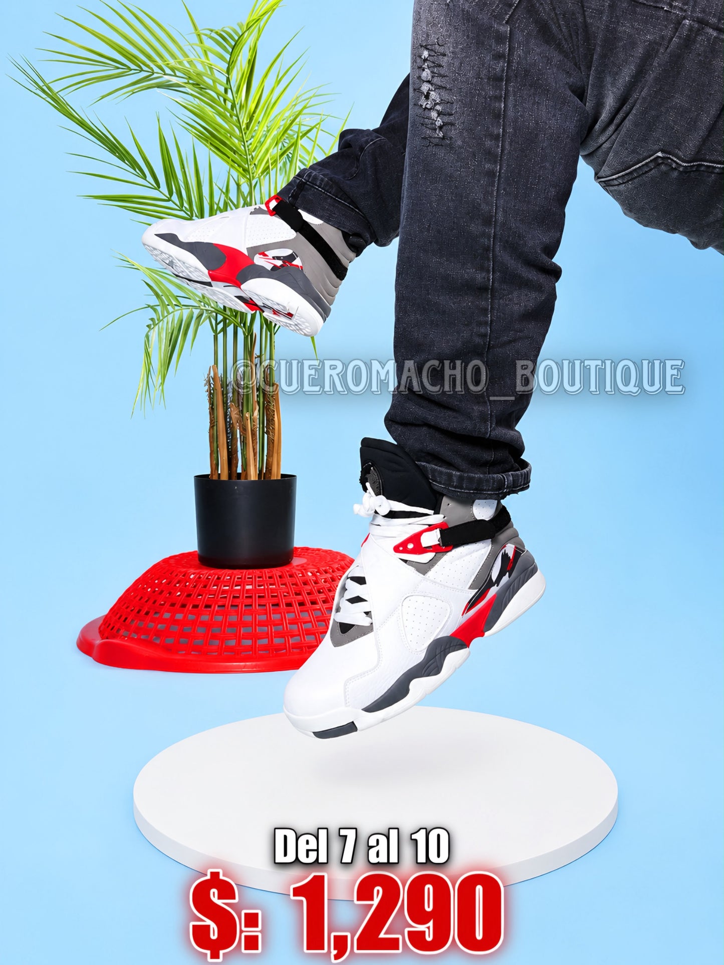 Jordan 8 ofertas