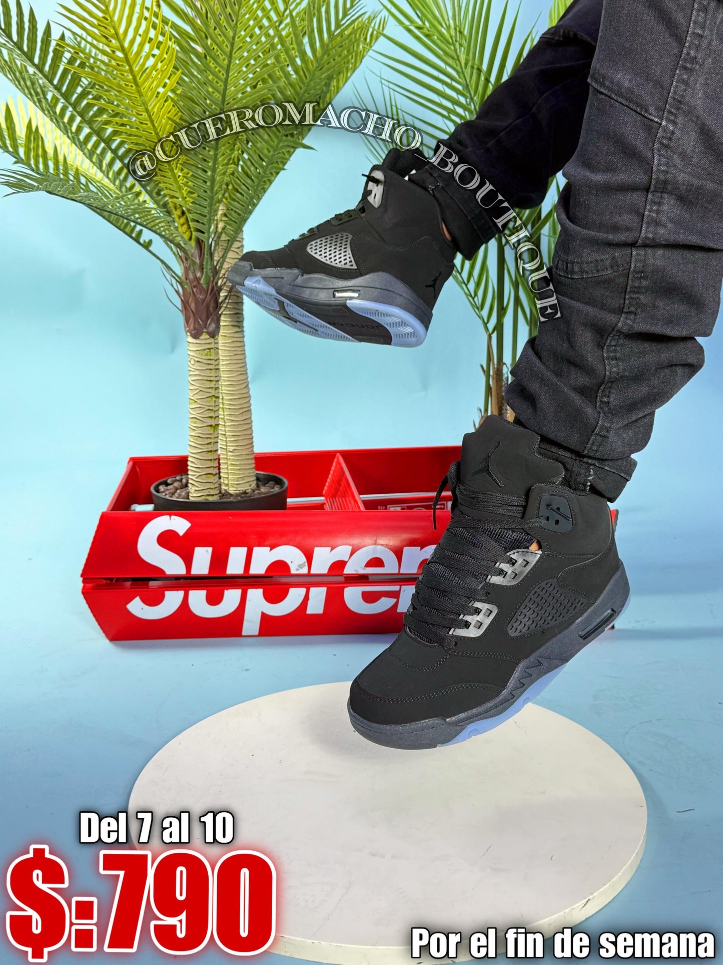 Jordan 5 oferta 790