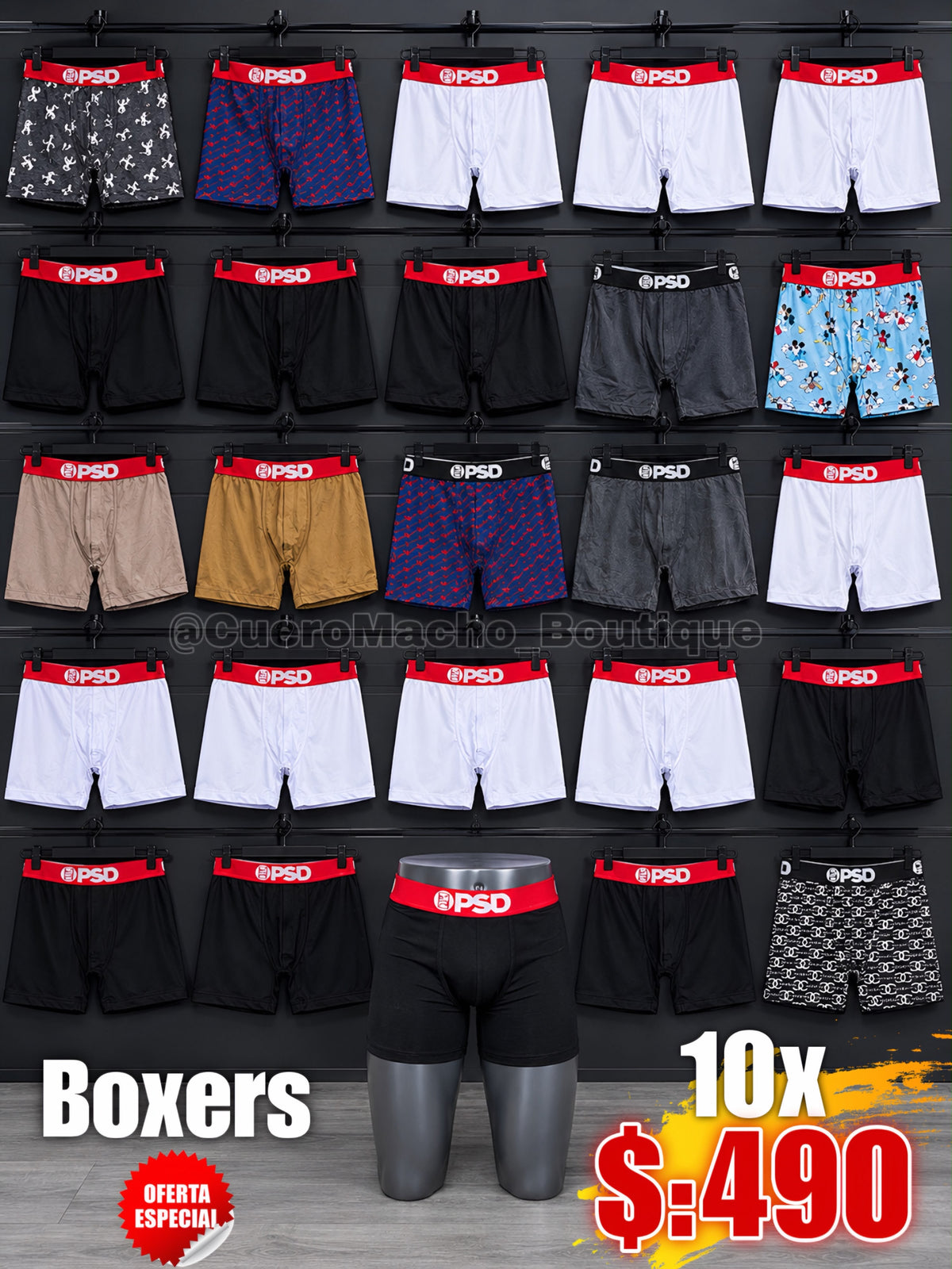 Boxer 10x $:490